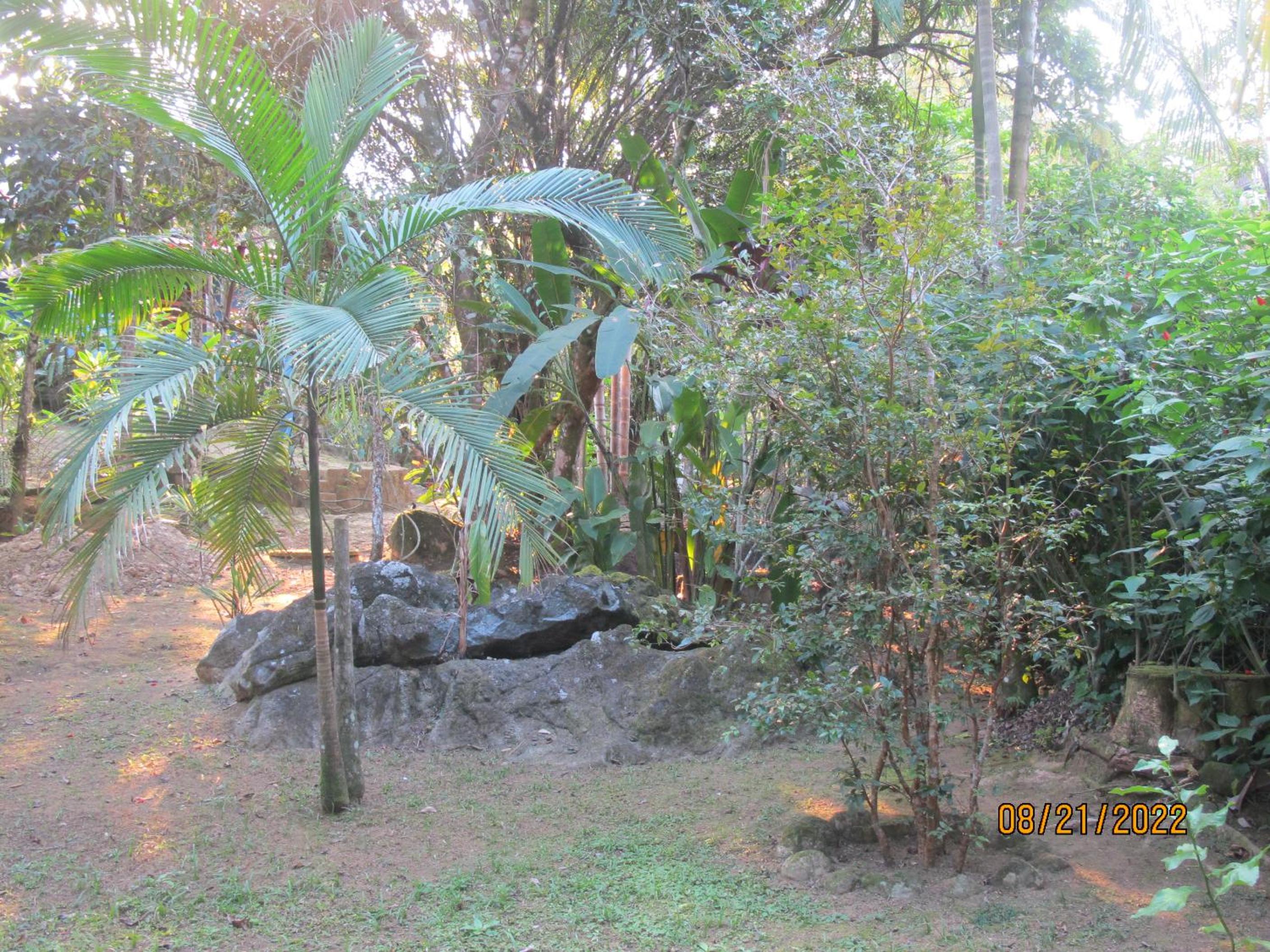 Photo 48