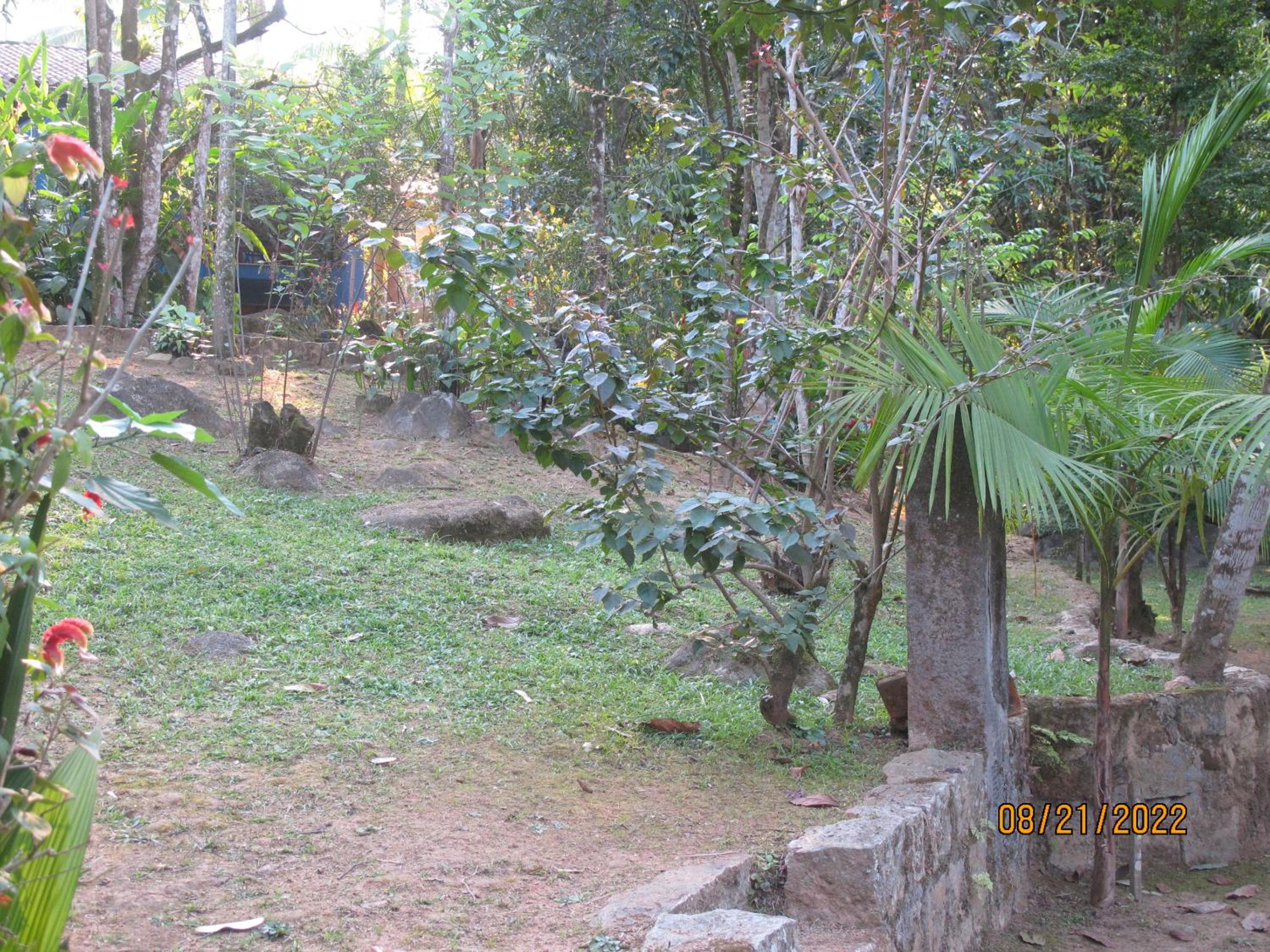 Photo 63