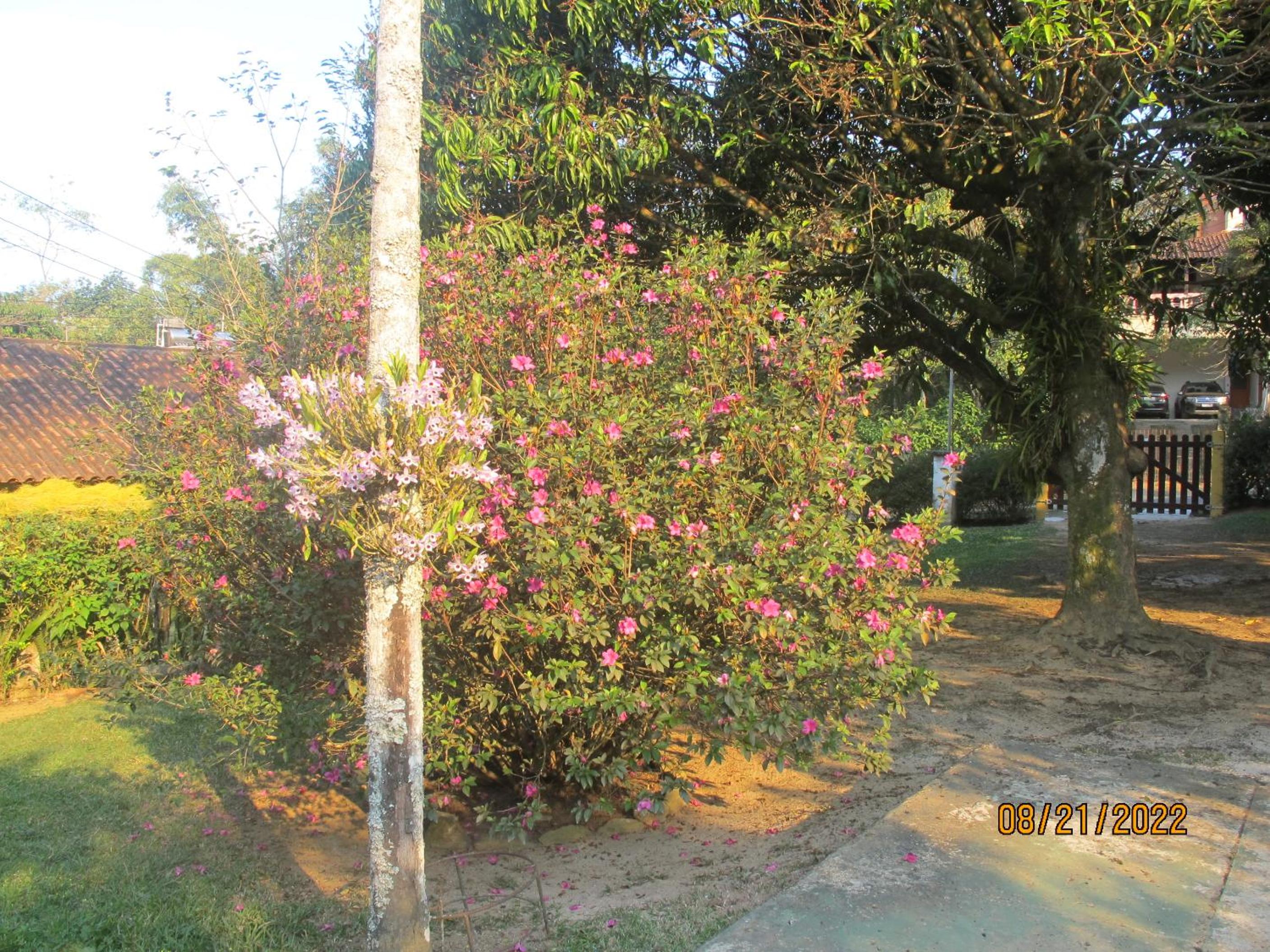 Photo 65
