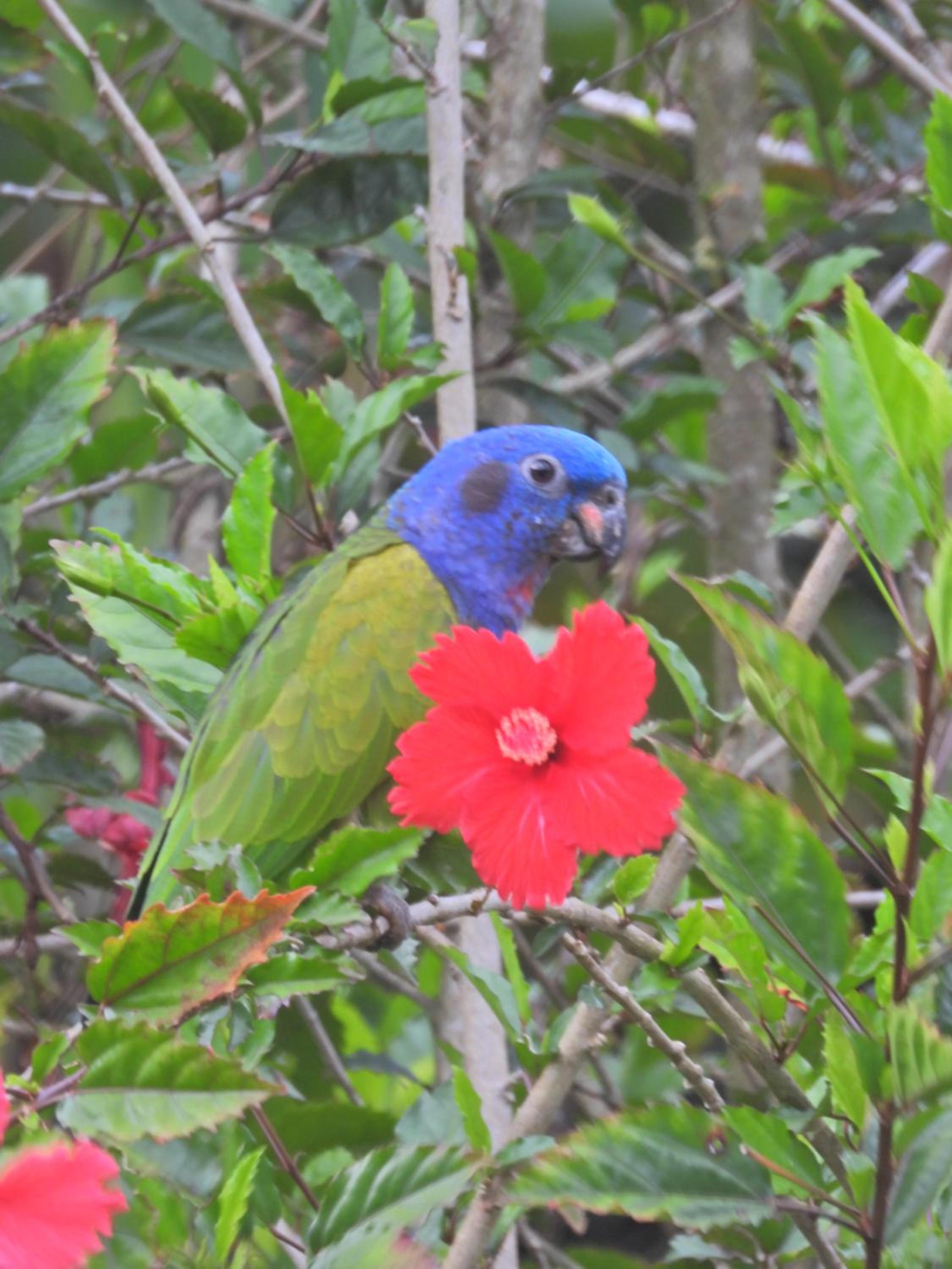 Finca TRADICIONAL EL OTOÑO