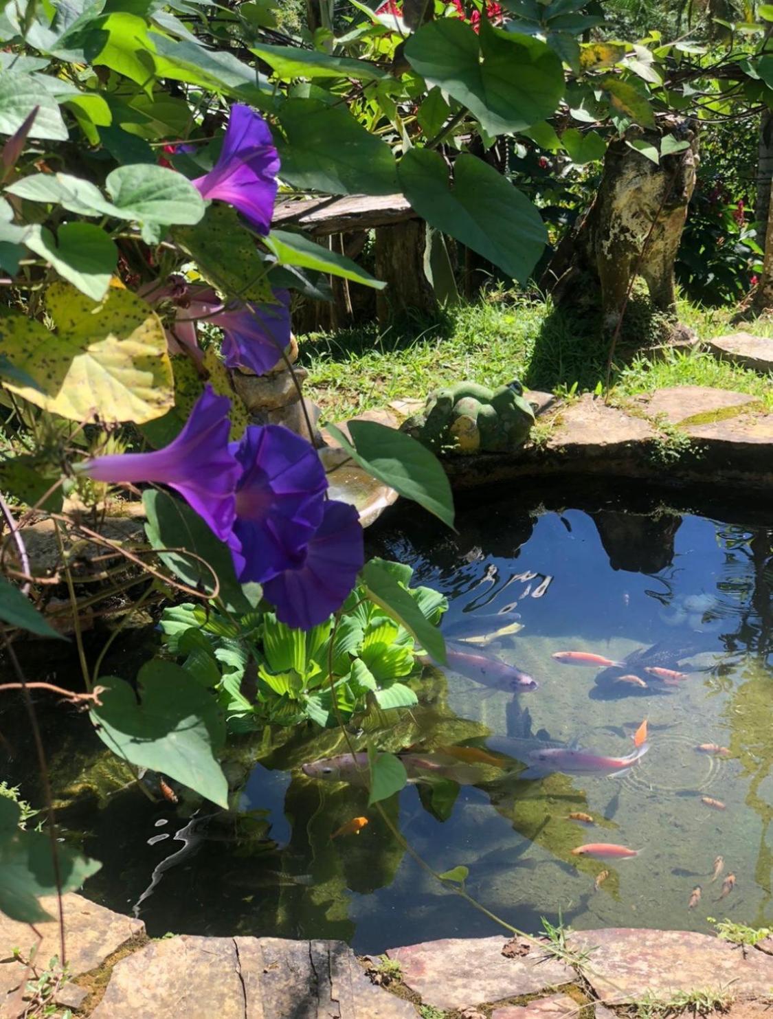 Casa para temporada em Paraty RJ - Sítio Primavera