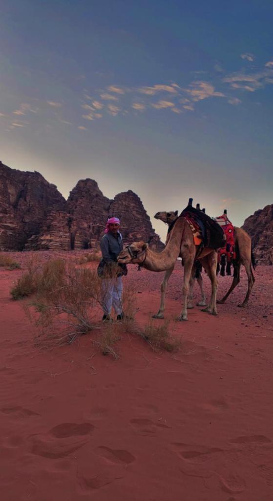 Hasan Zawaideh Luxury Camp 2 50