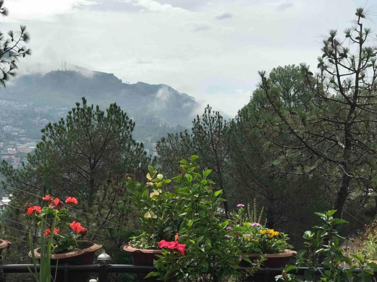 Cozy Solan Apartment with Stunning Views