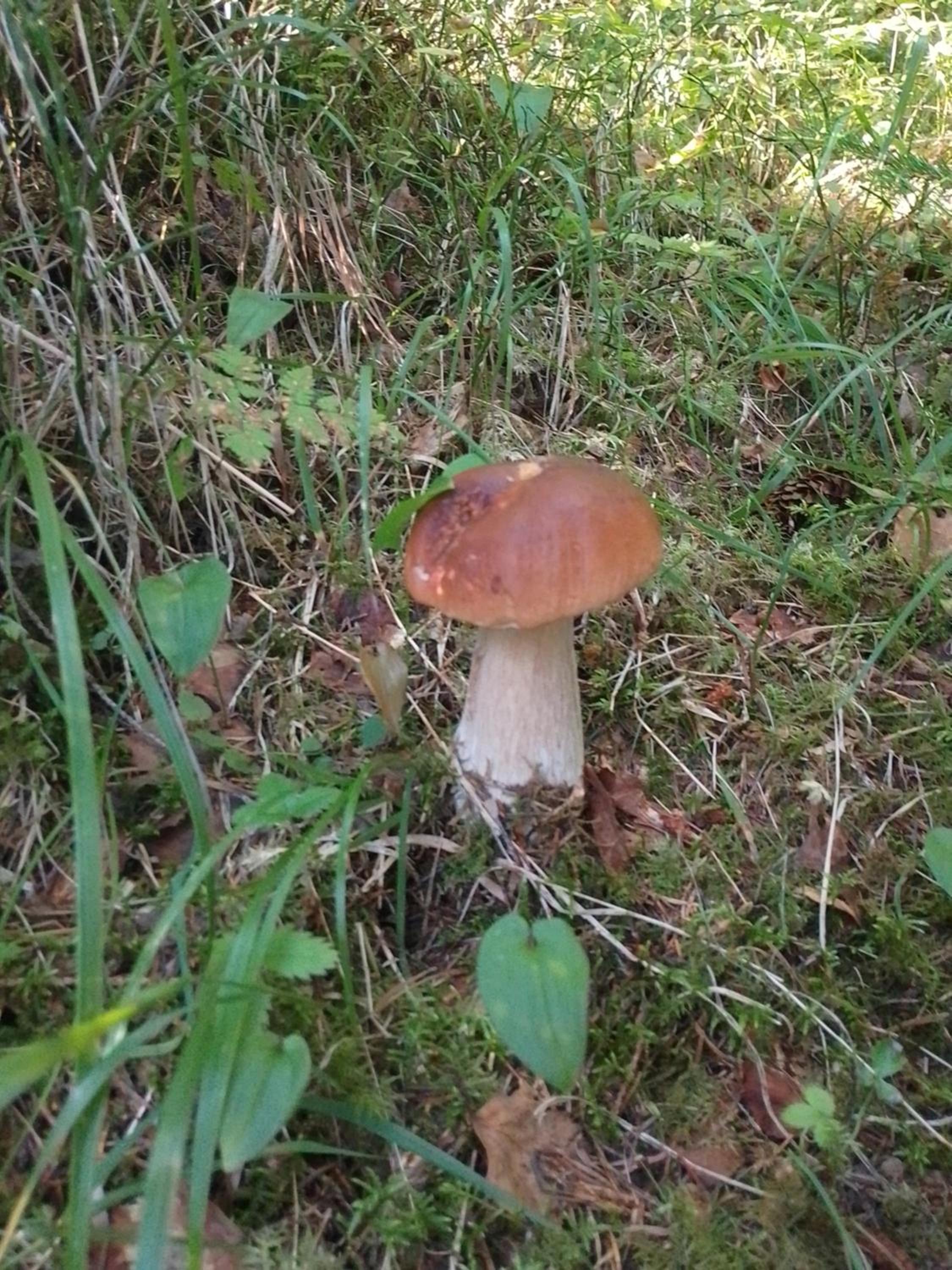 Photo 26
