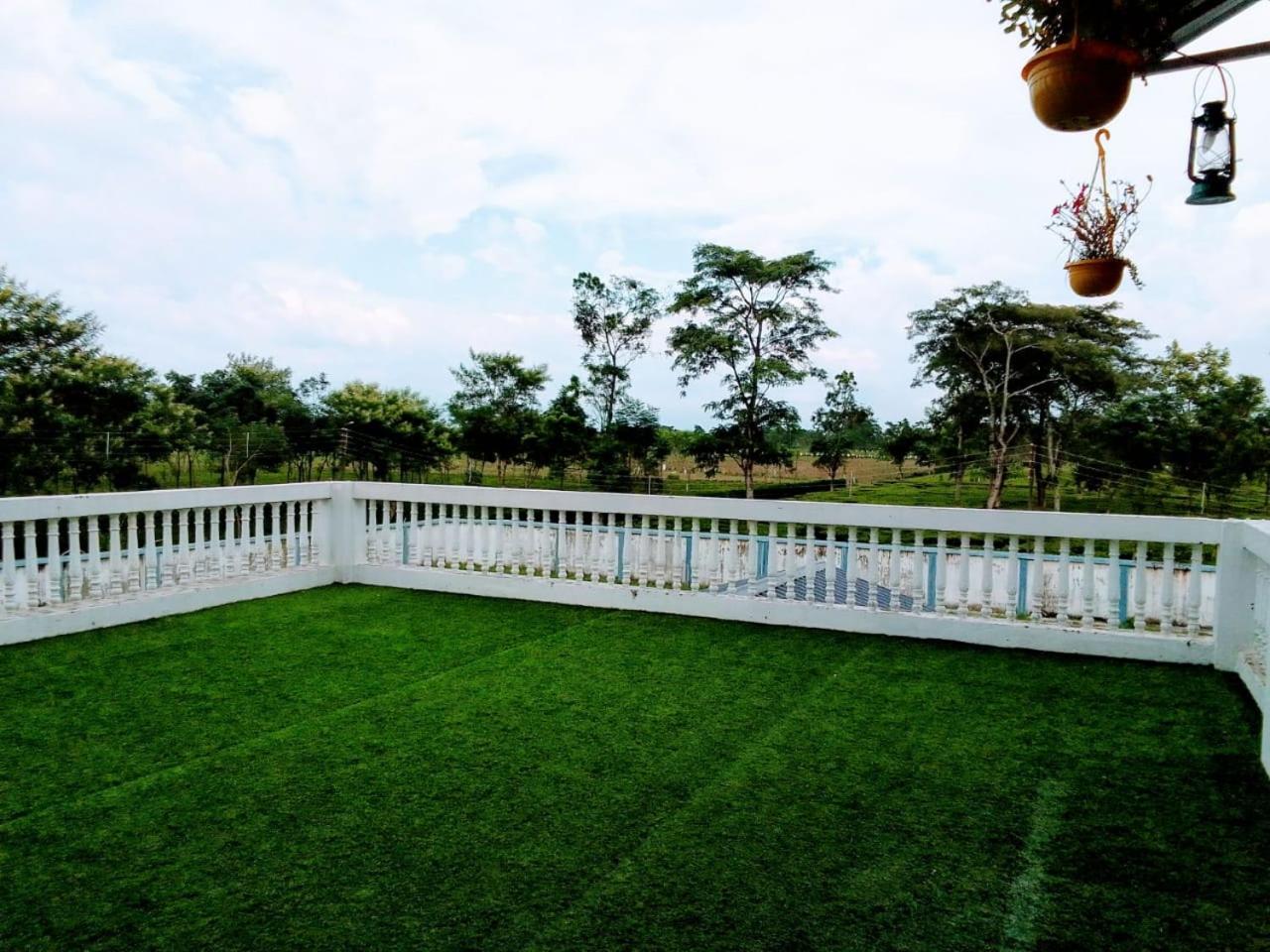 Ramsai Tea & Wildlife Resort view 3
