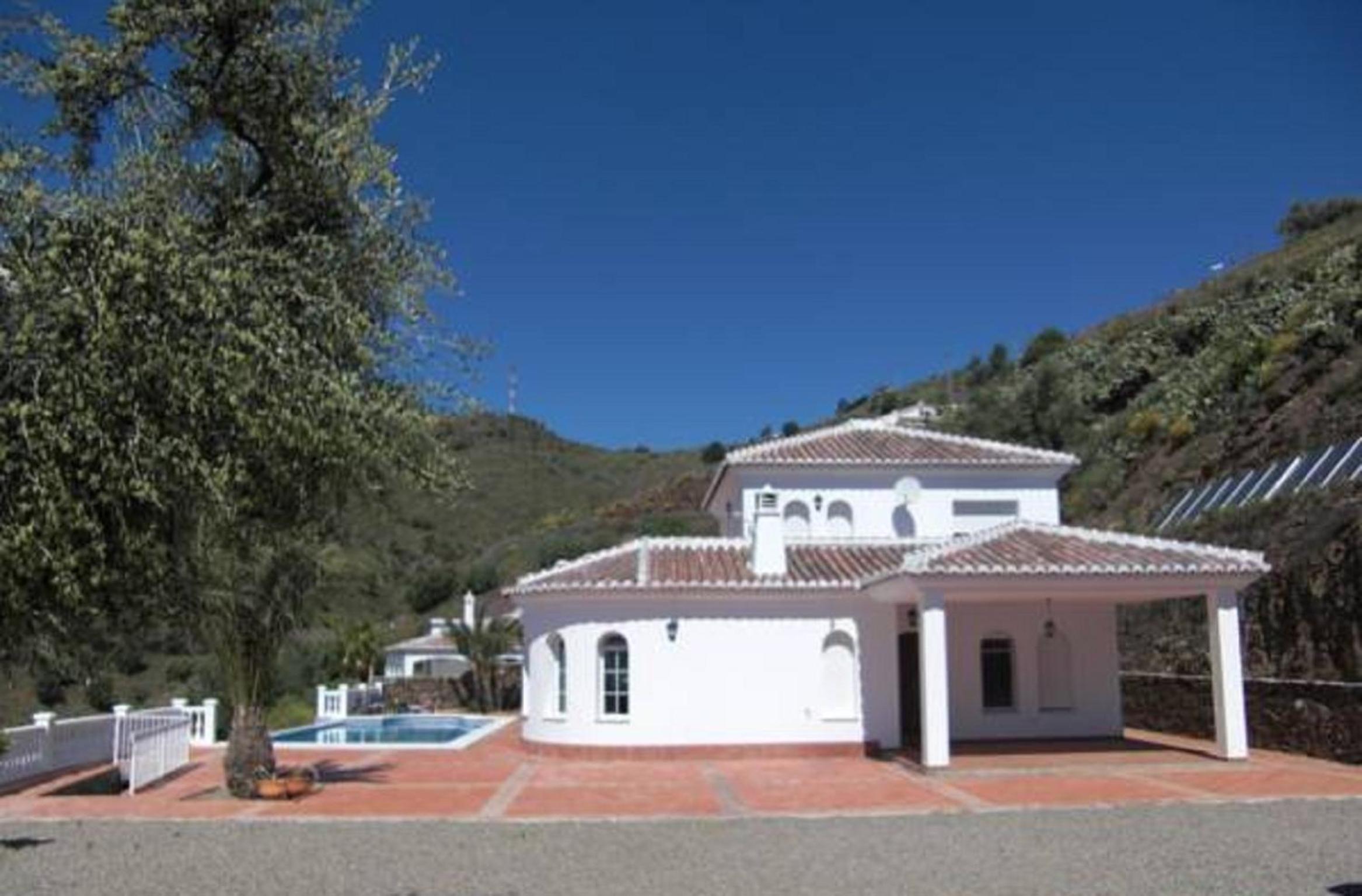 Photo 41
