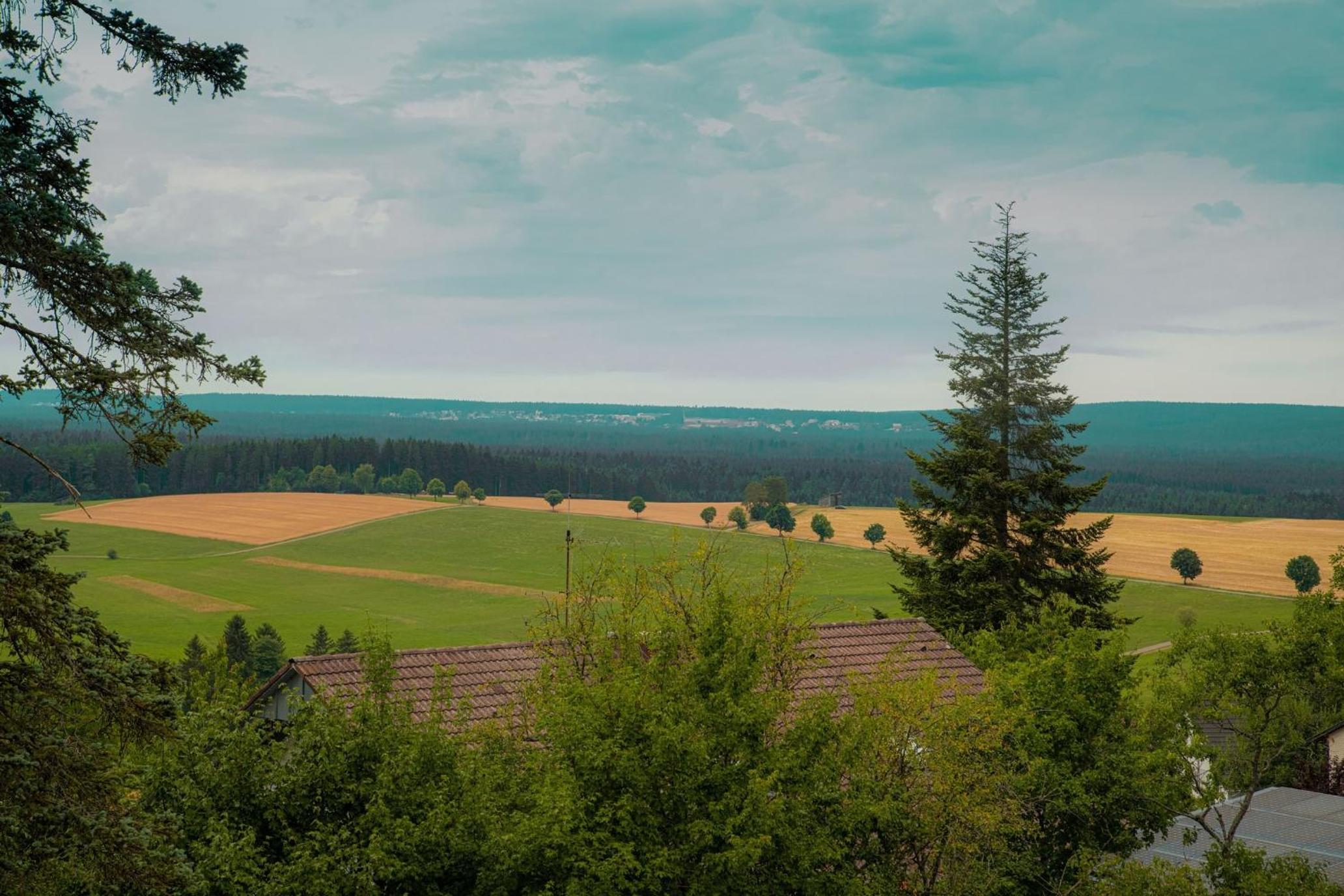 Ferienwohnung Wald & Wild
