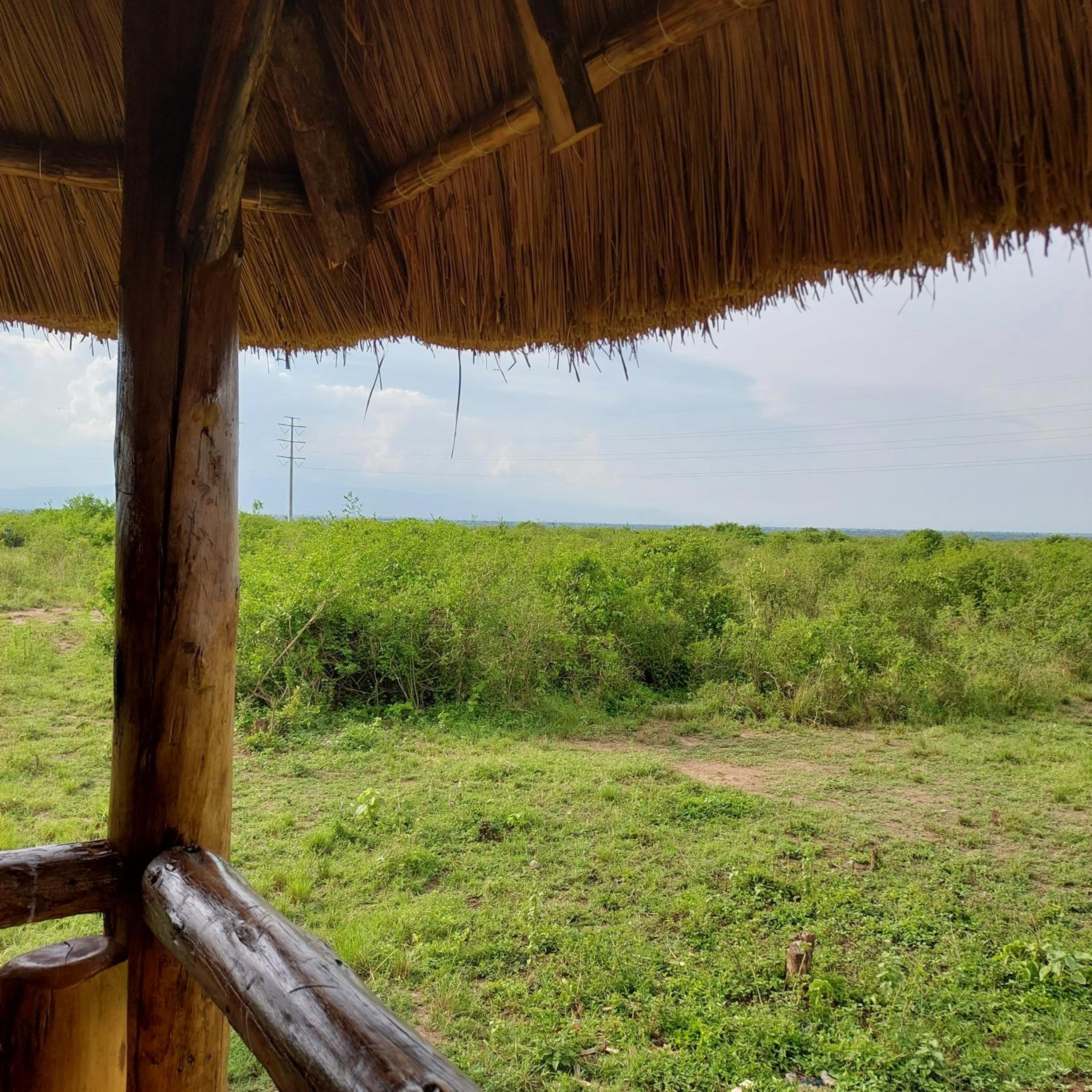 Songbird Safari Lodge & Campsite view 3