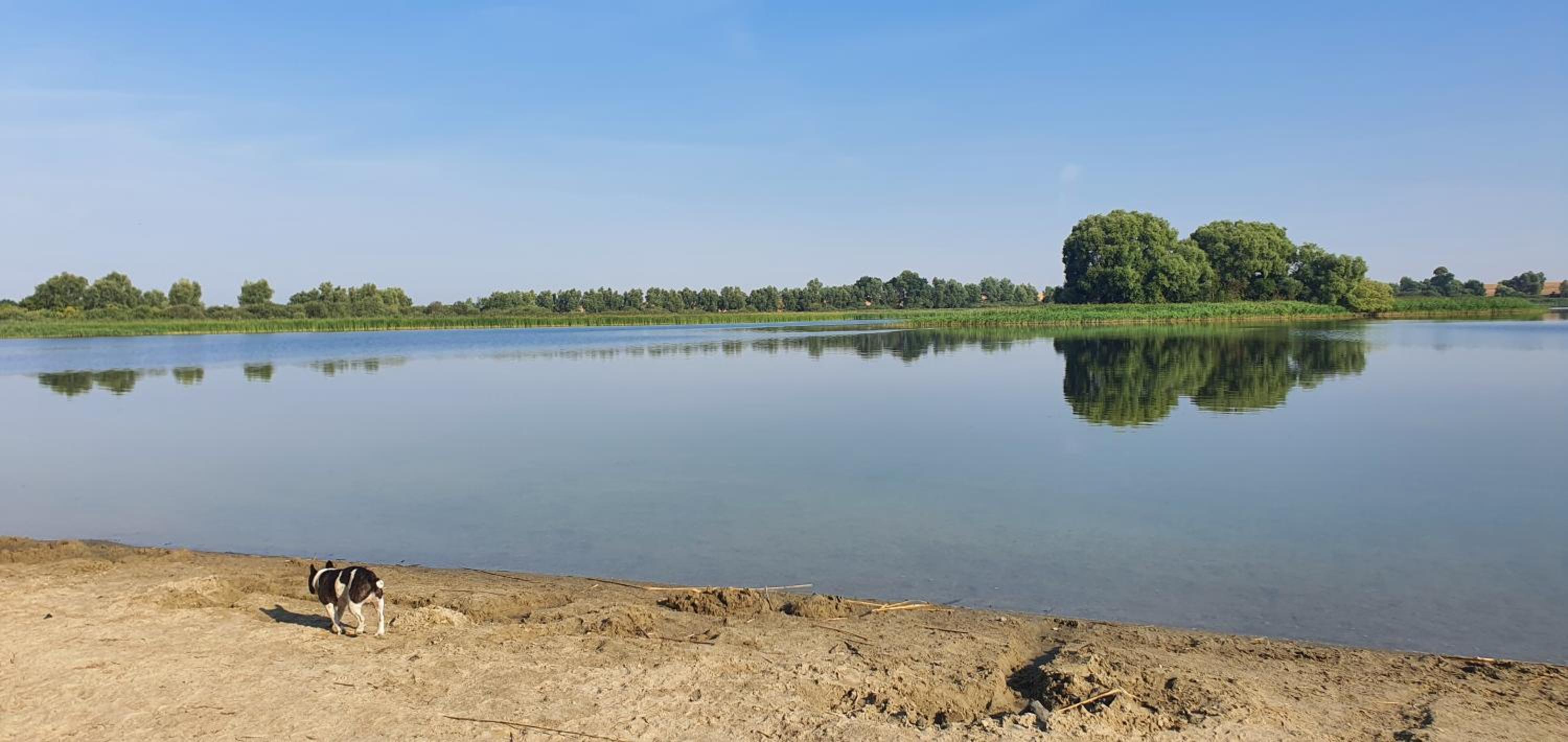 Haus an der Pferdekoppel am Blankenburger See