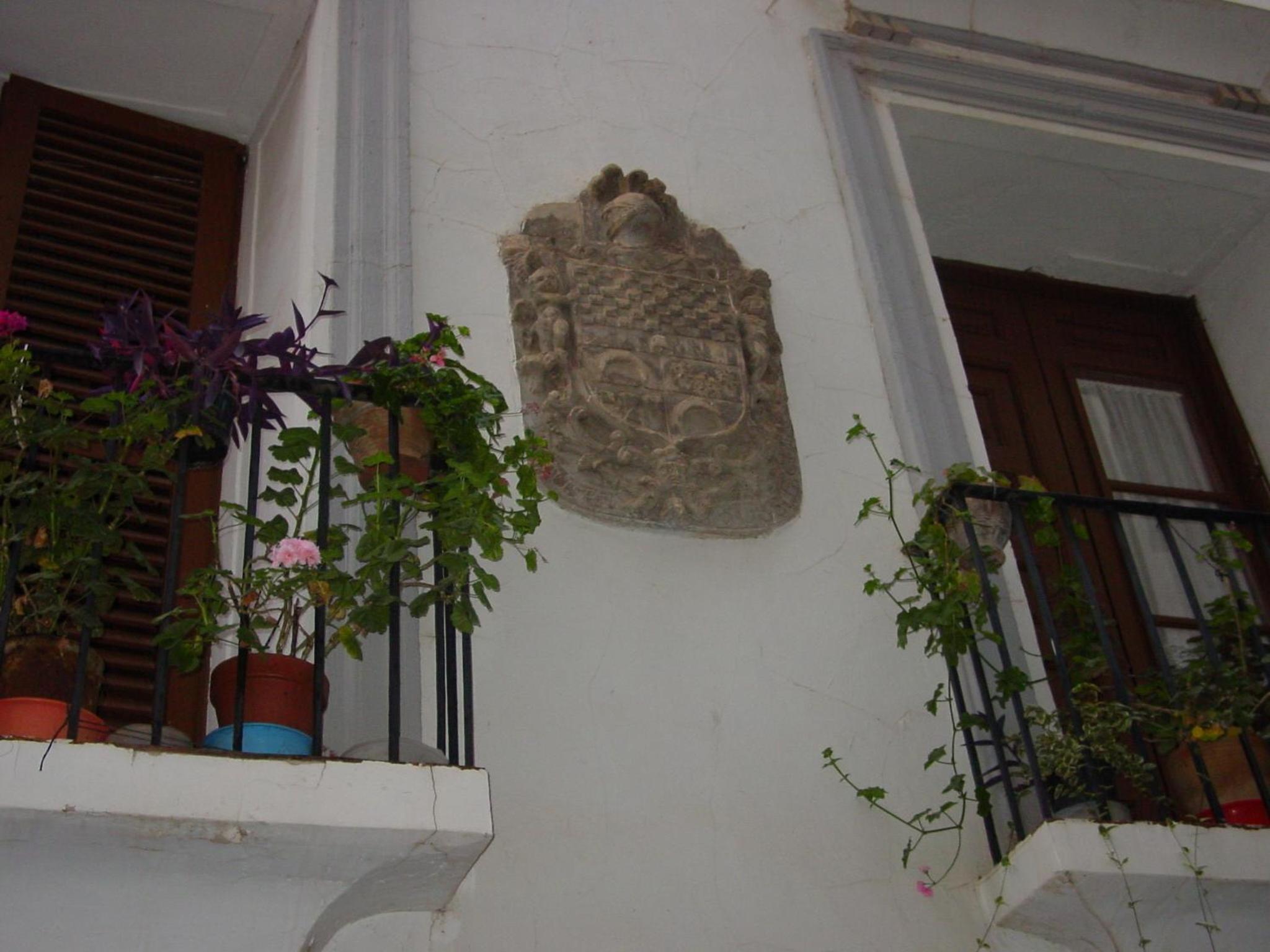 Photo 44
