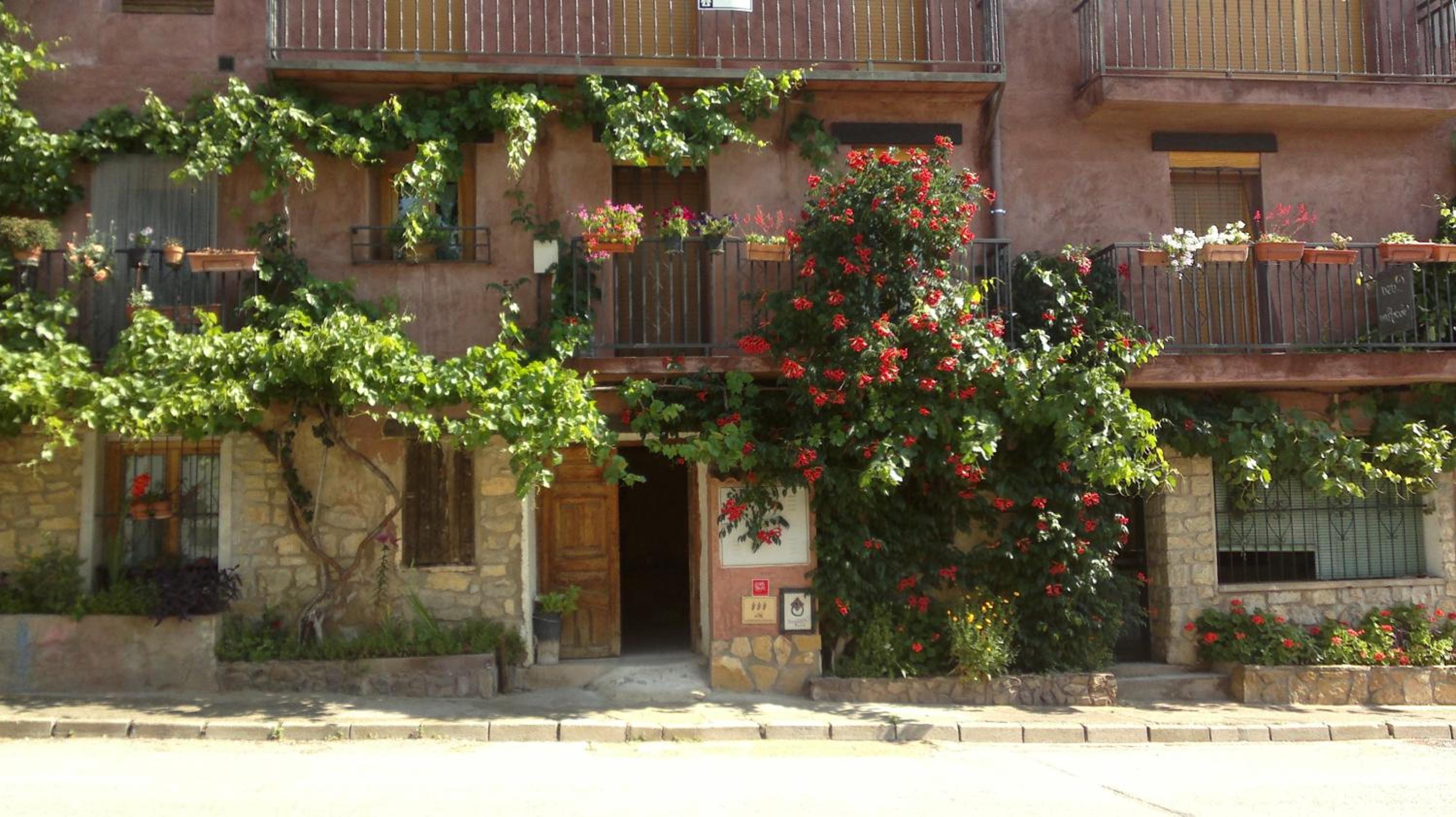 Photo 46