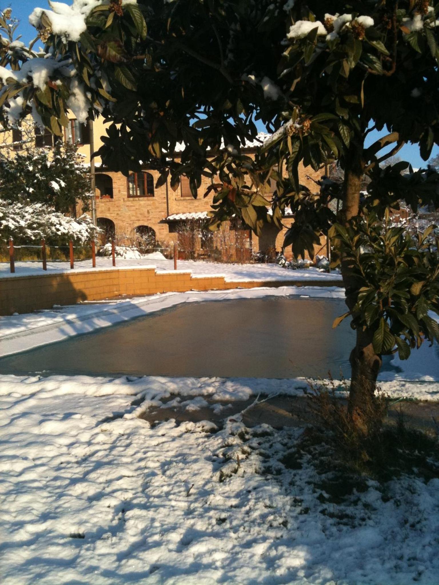 Photo 45