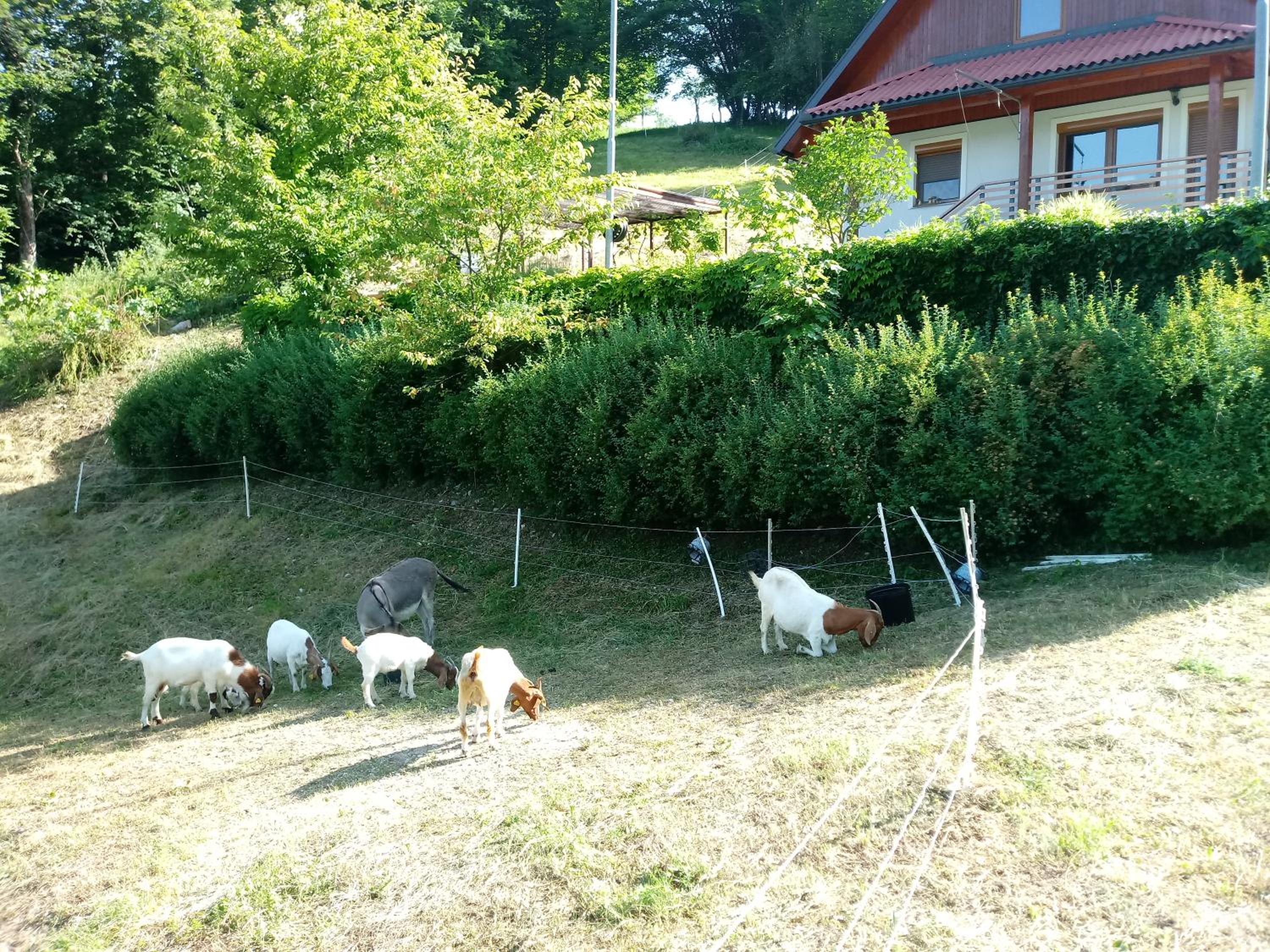 Photo 14