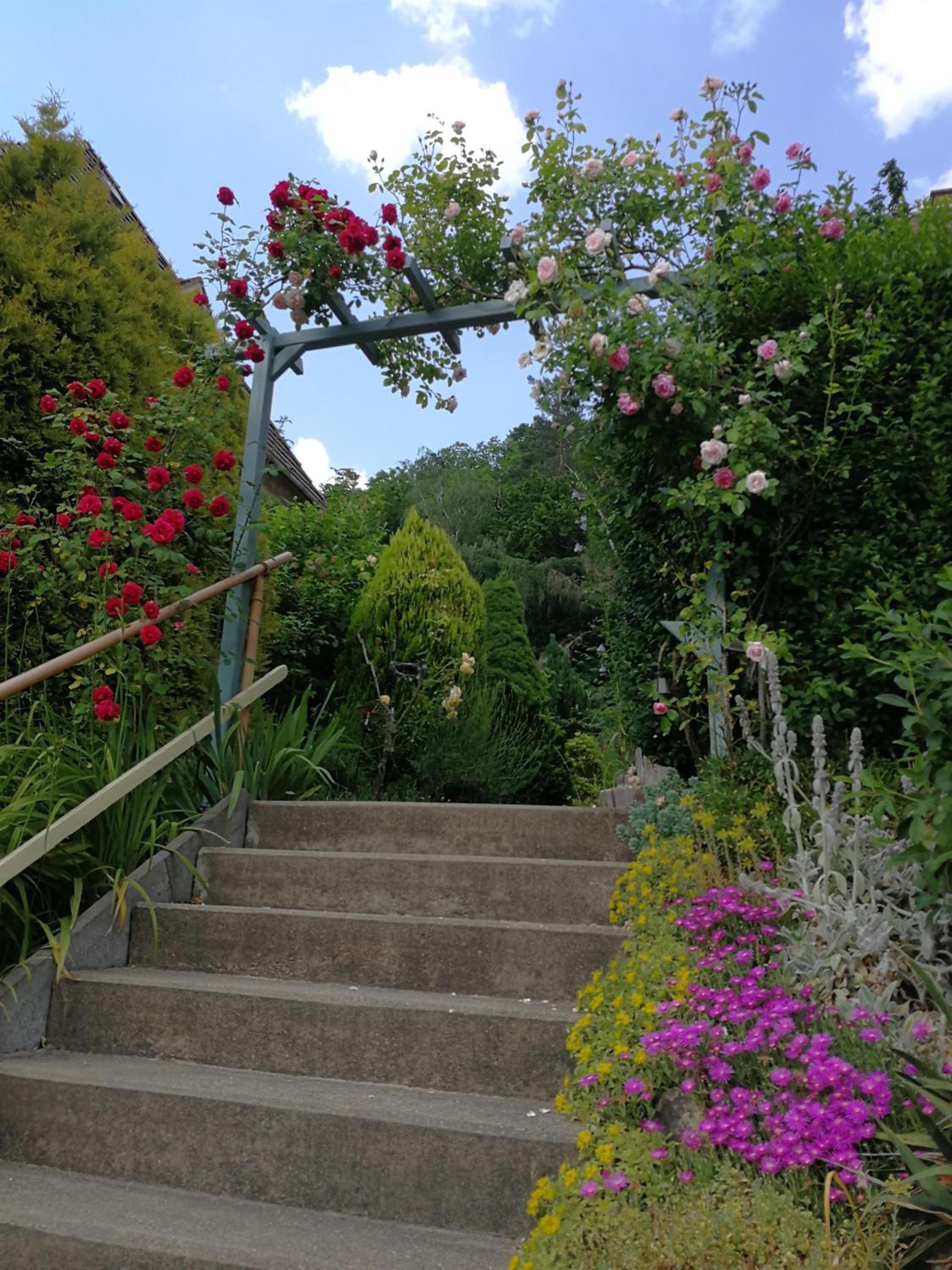 Ferienhaus Sonnenschein