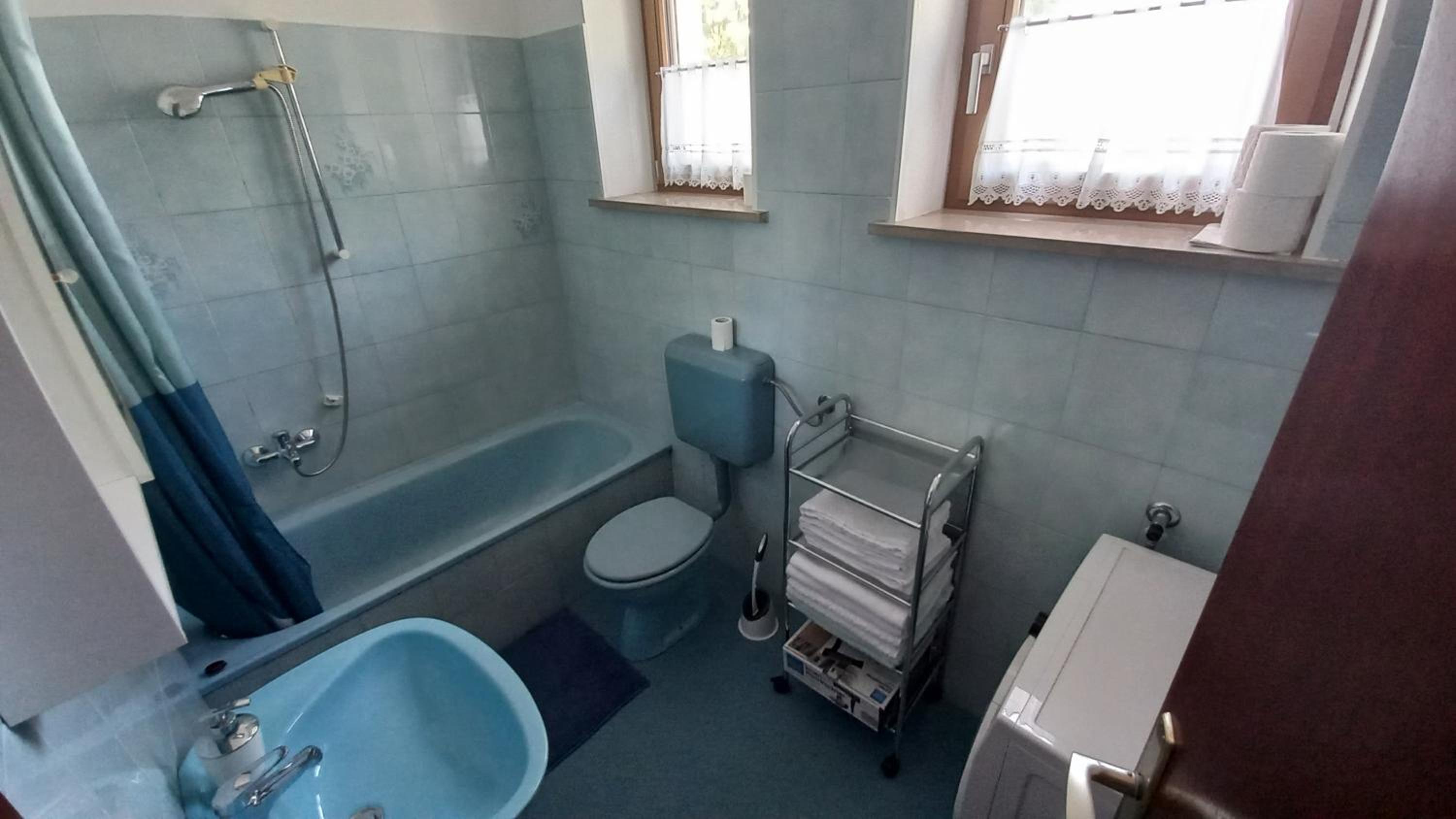 Apartma Nona Roža view 3
