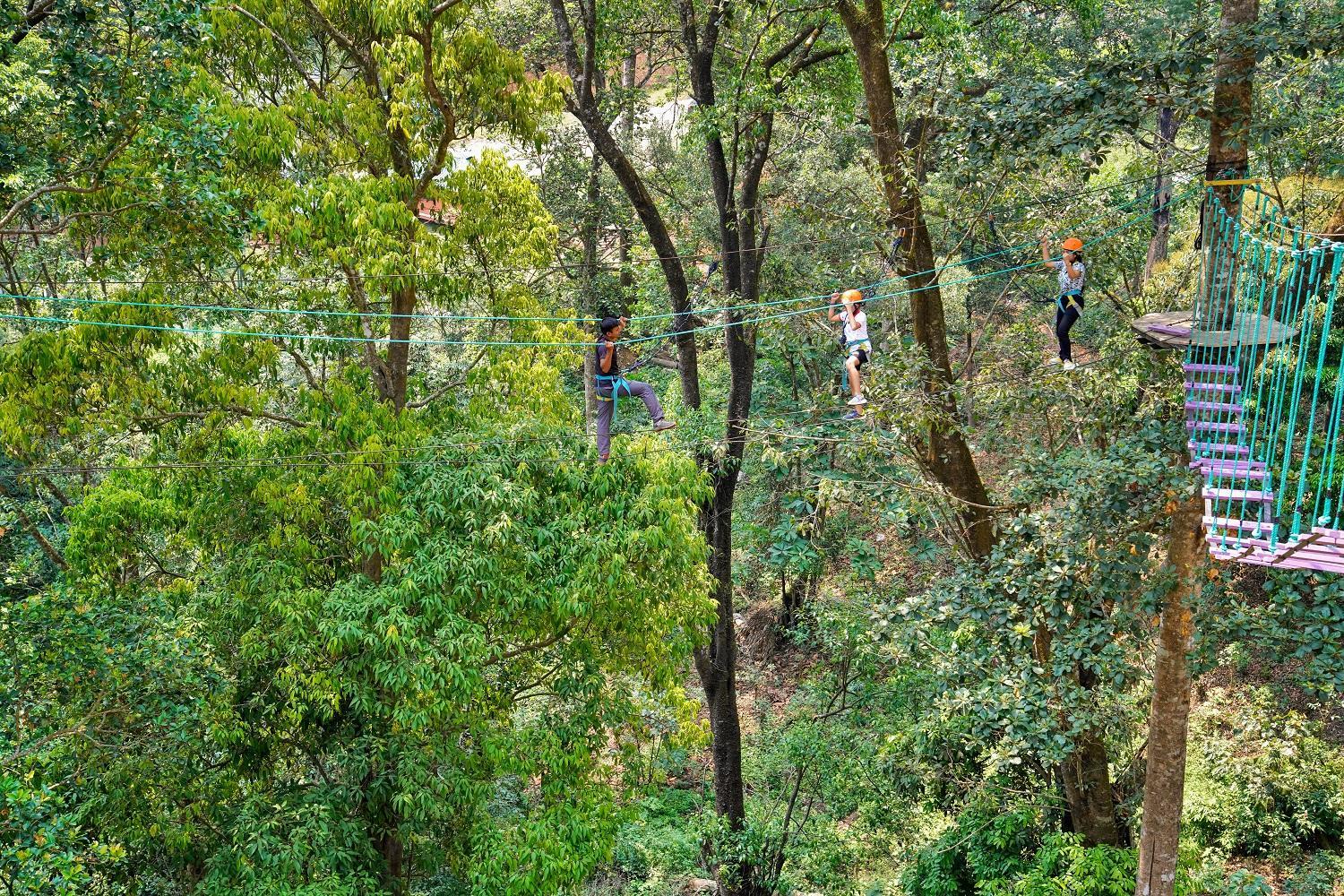 Coorg Wilderness Resort & Spa 39