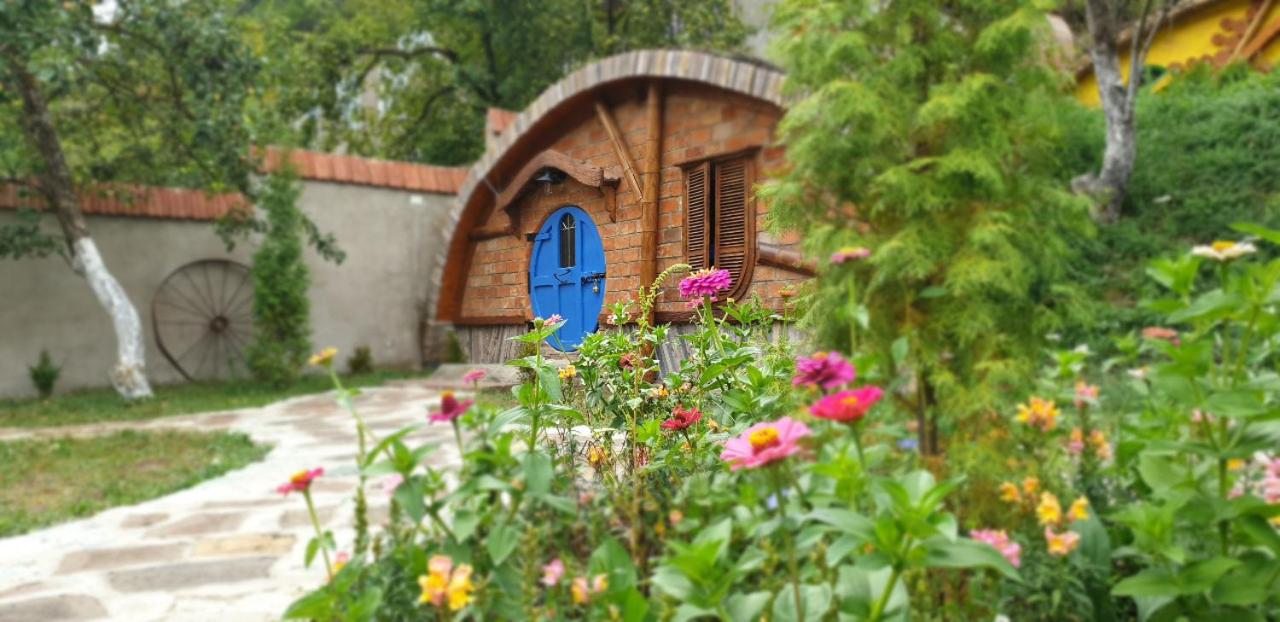 Cozy House