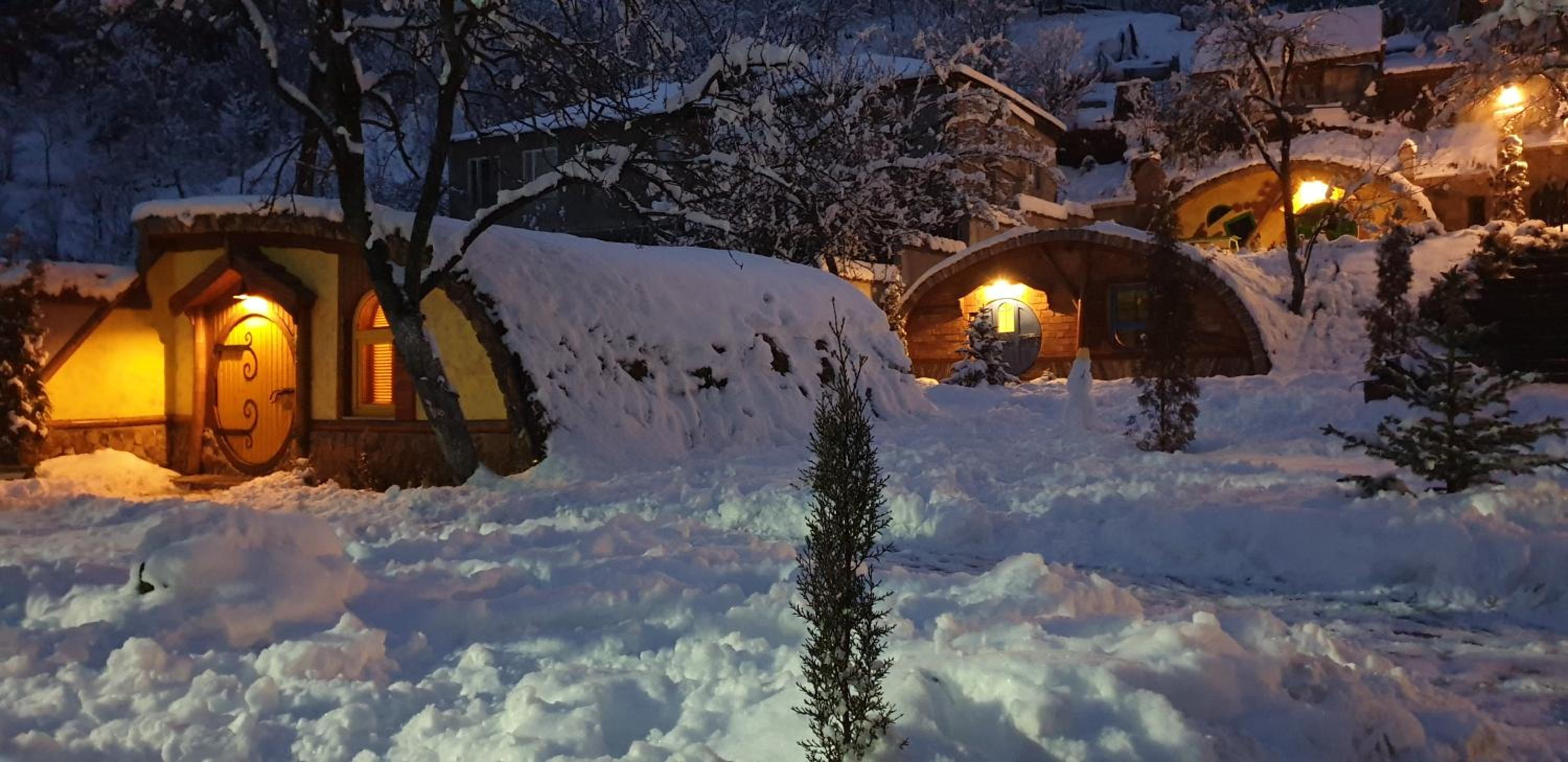 Cozy House