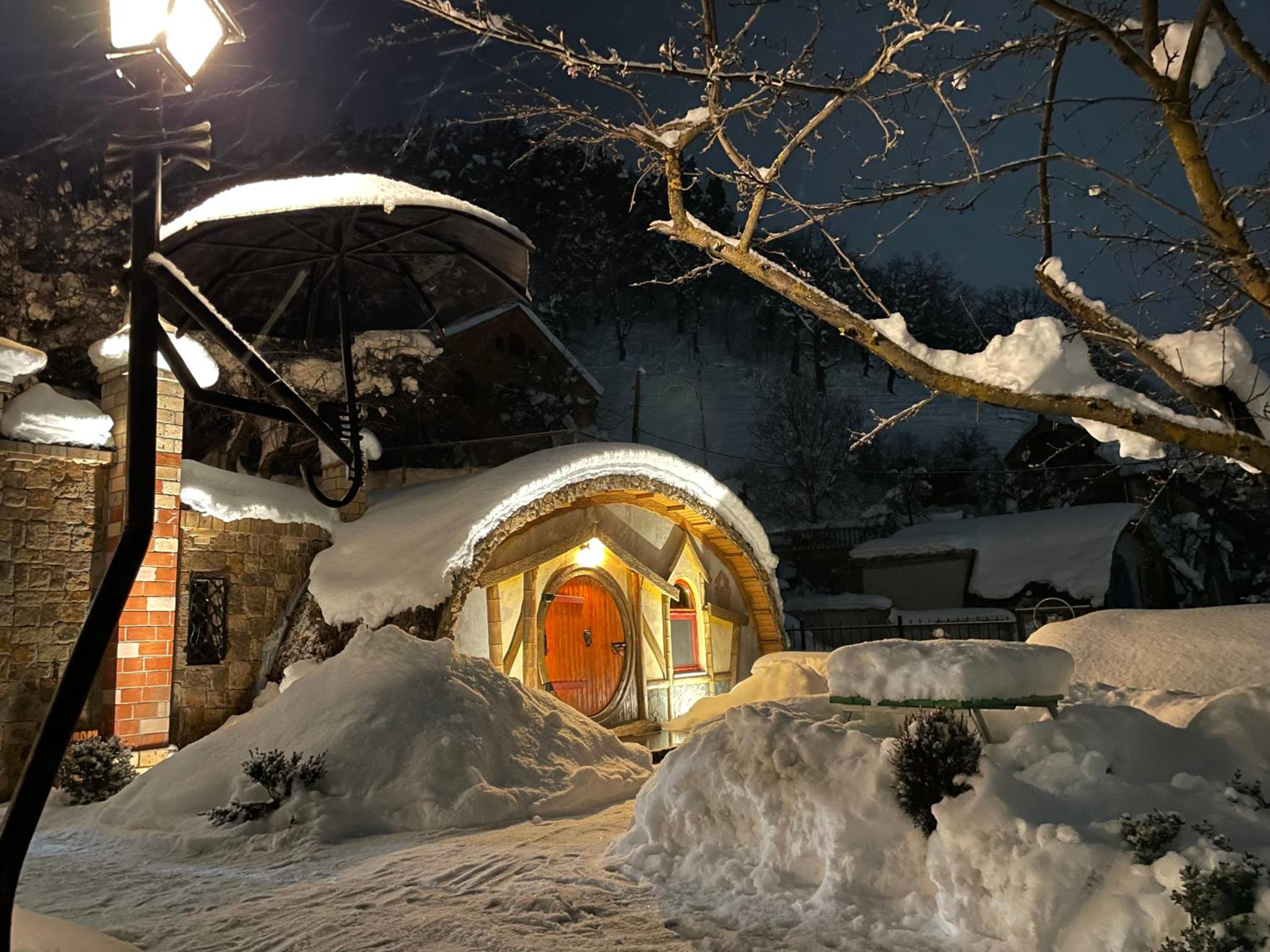 Cozy House