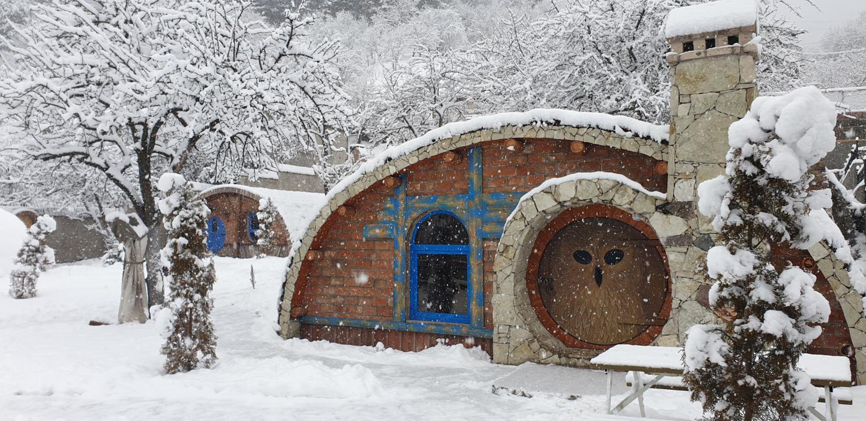 Cozy House