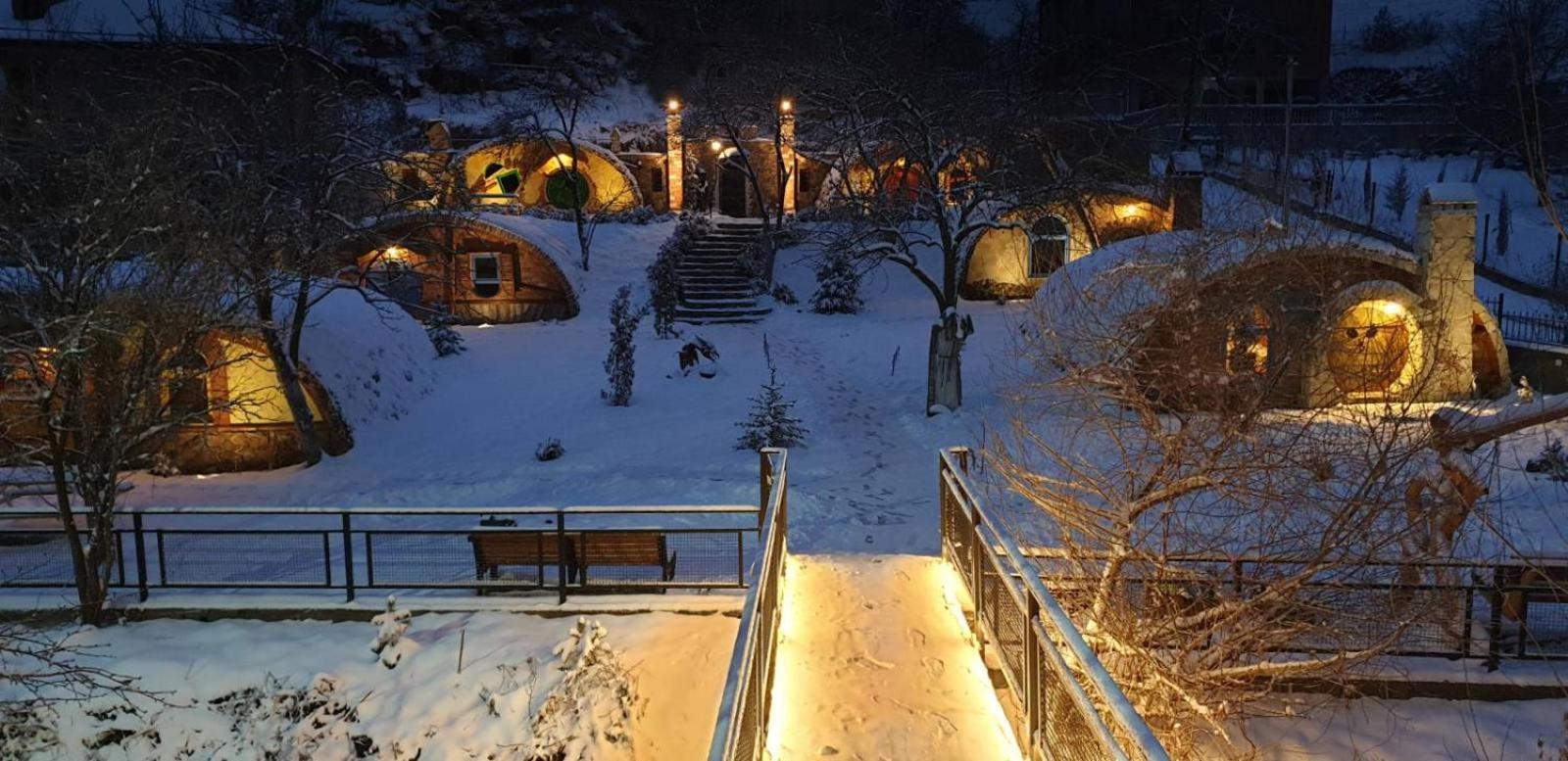 Cozy House