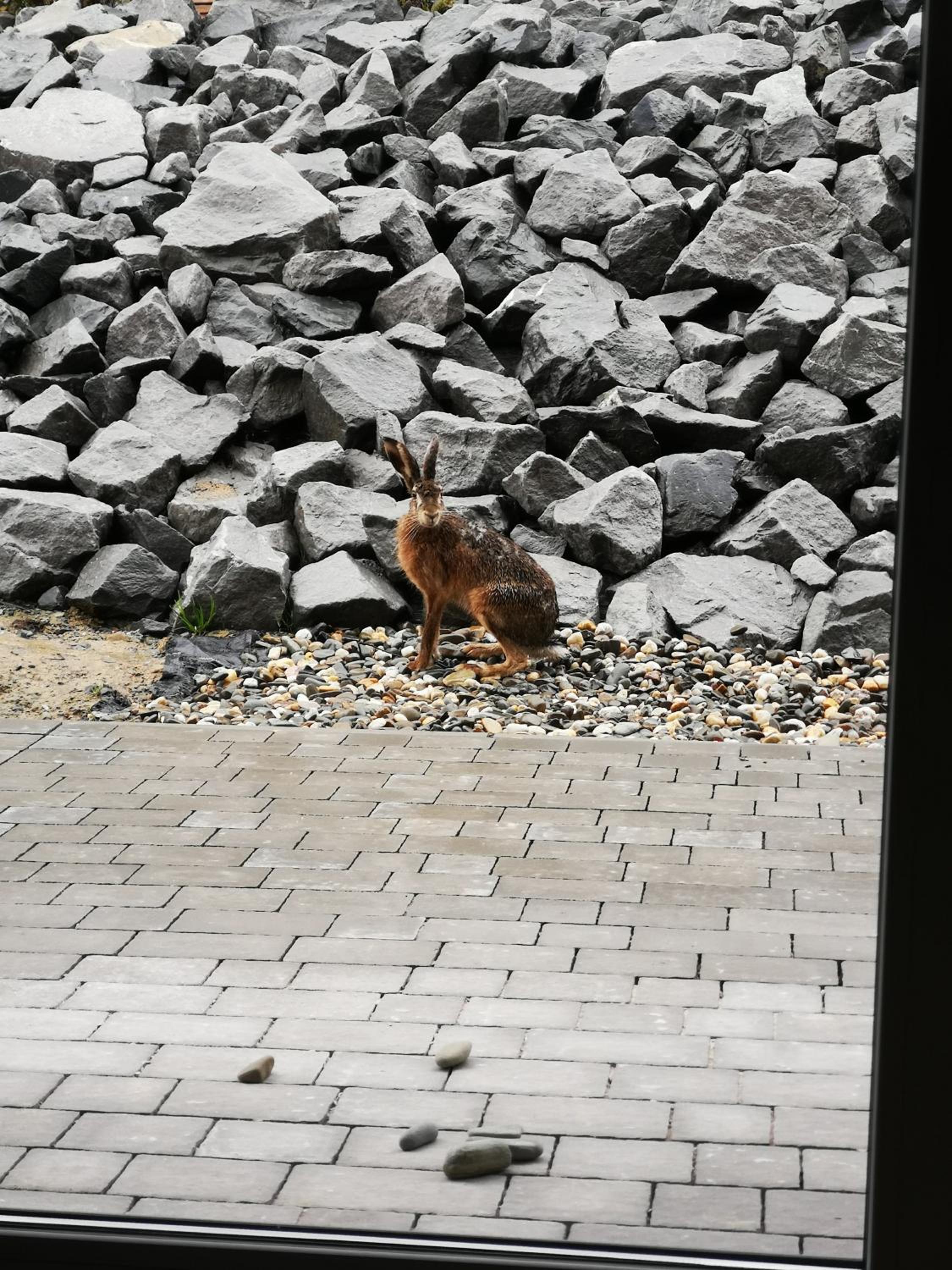 Photo 43