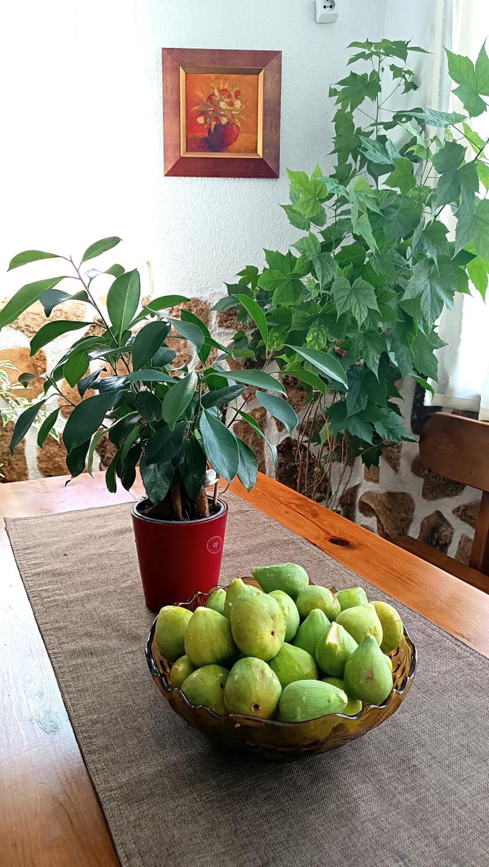 Guesthouse White Margarit
