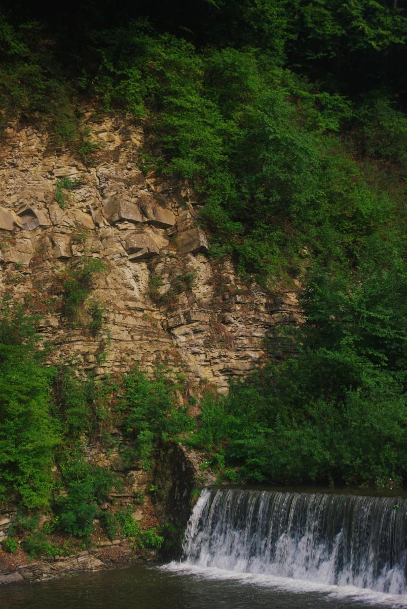 Photo 40