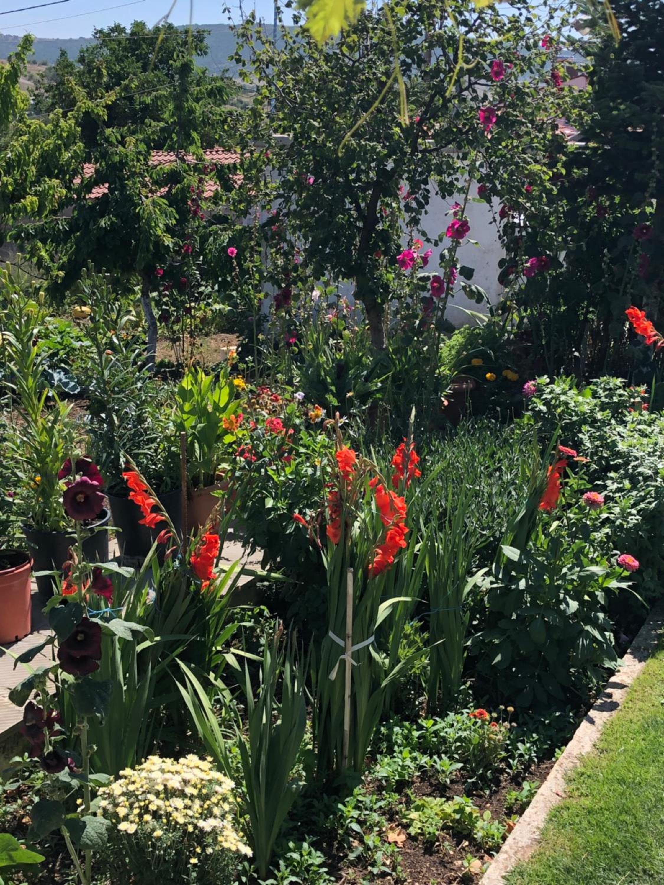 Acrotel Sofia's Guest House view 5