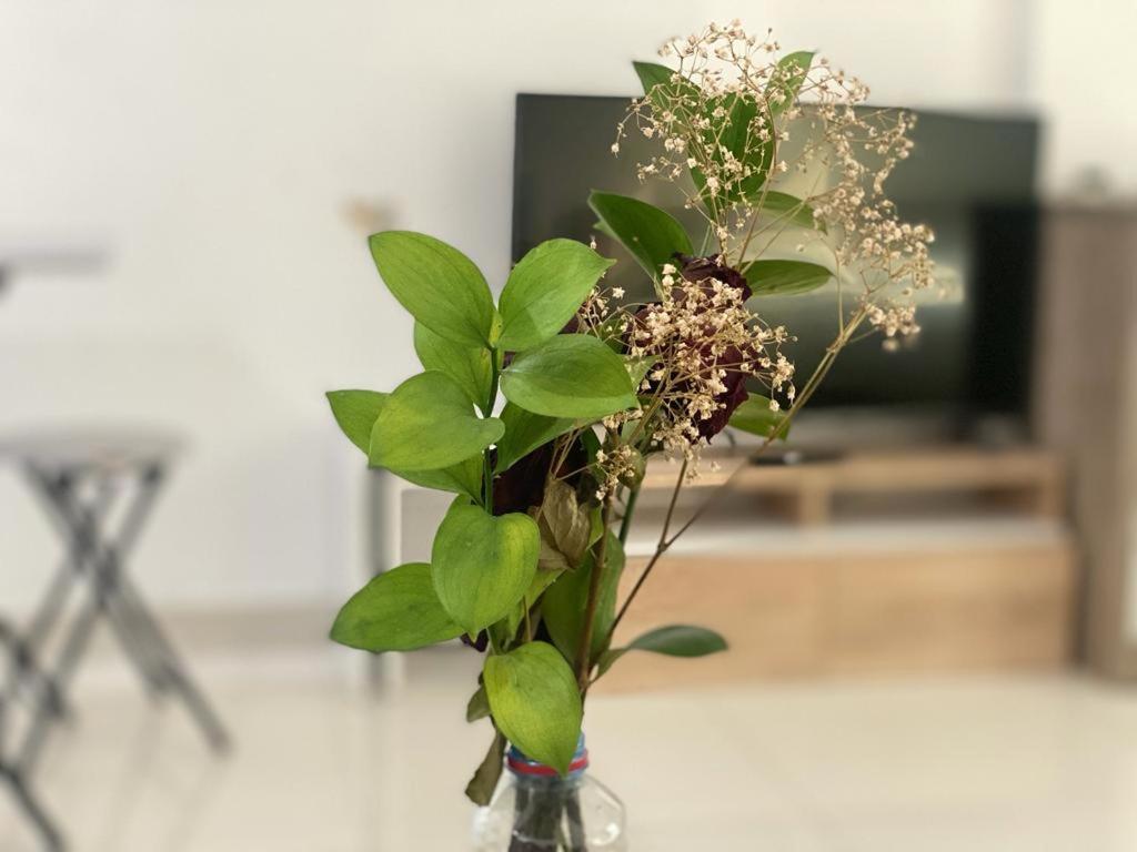 Comfortable Apartments and Studios for Rent in Dubai