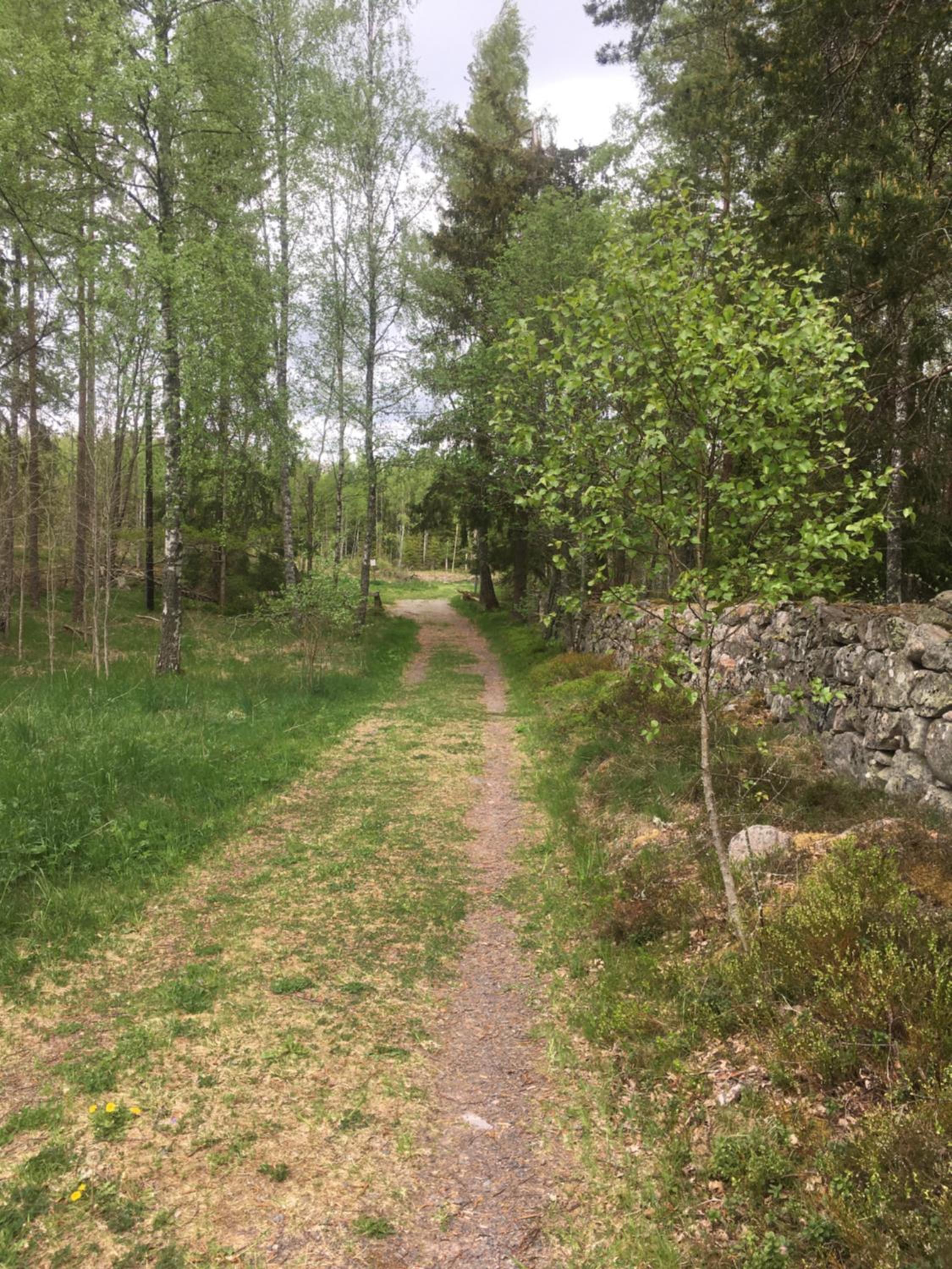Photo 31