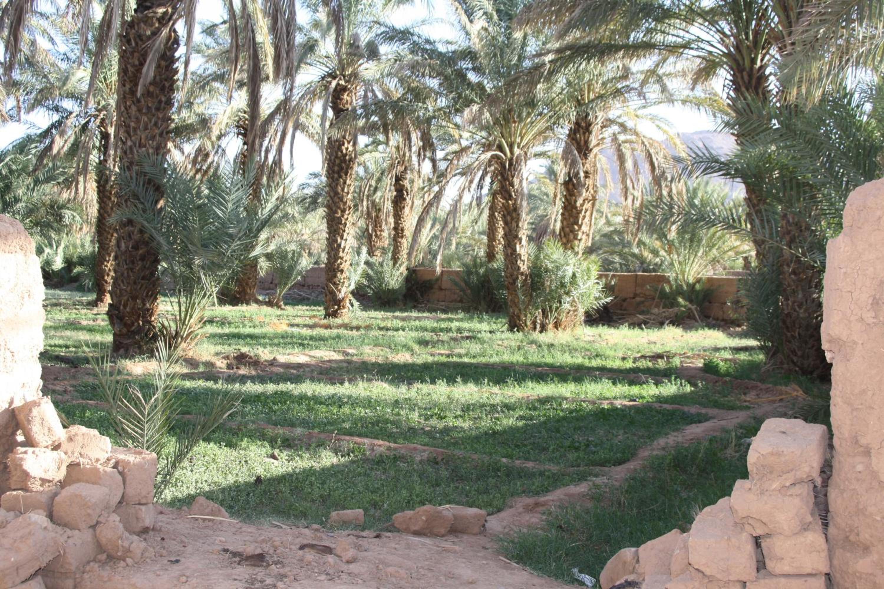 Dar Pienatcha, photo 104