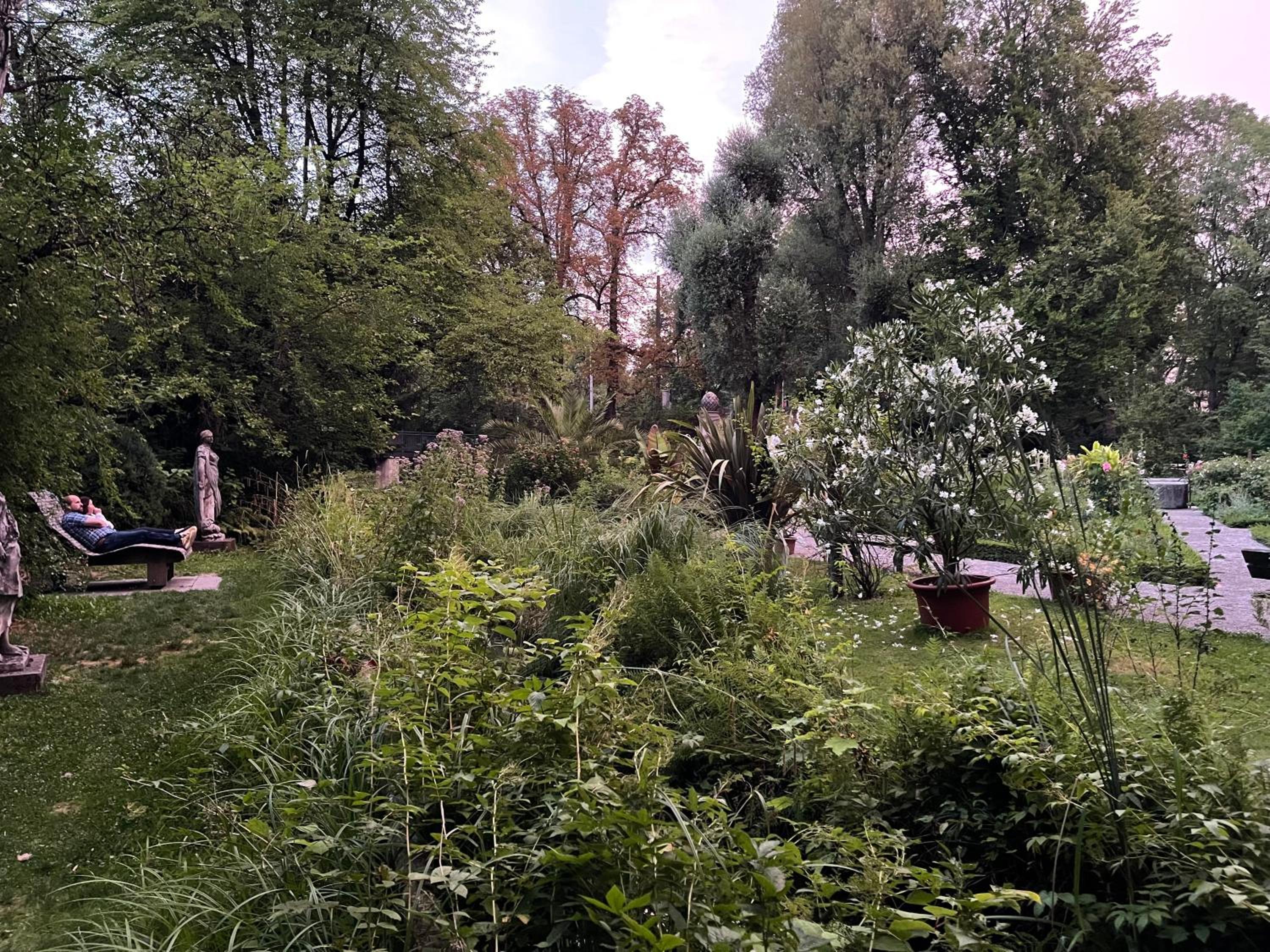 Photo 16