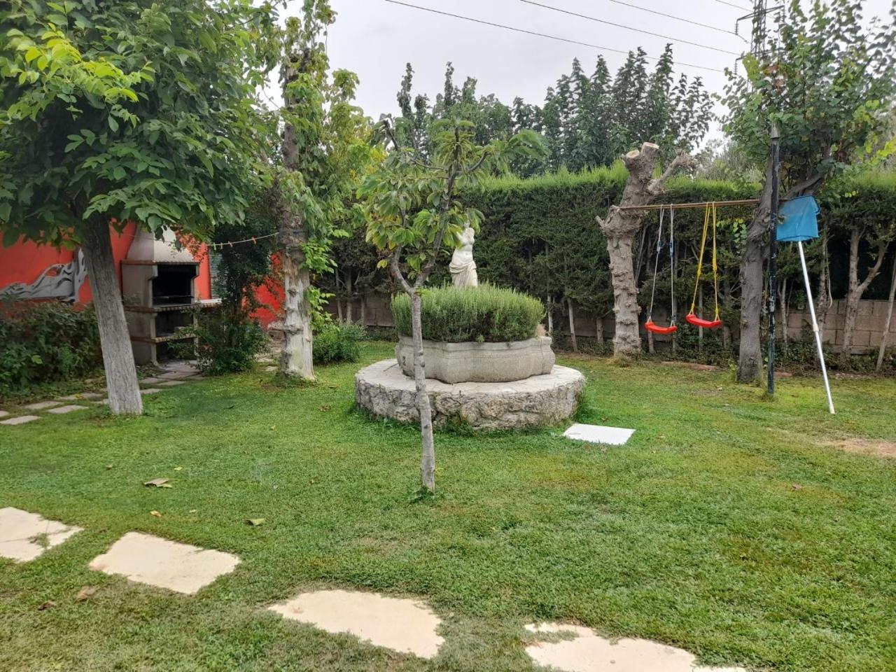 Photo 20