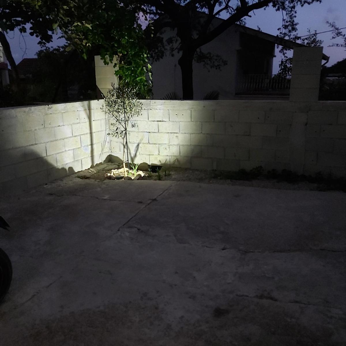 Apartmani Bogdana photo 3
