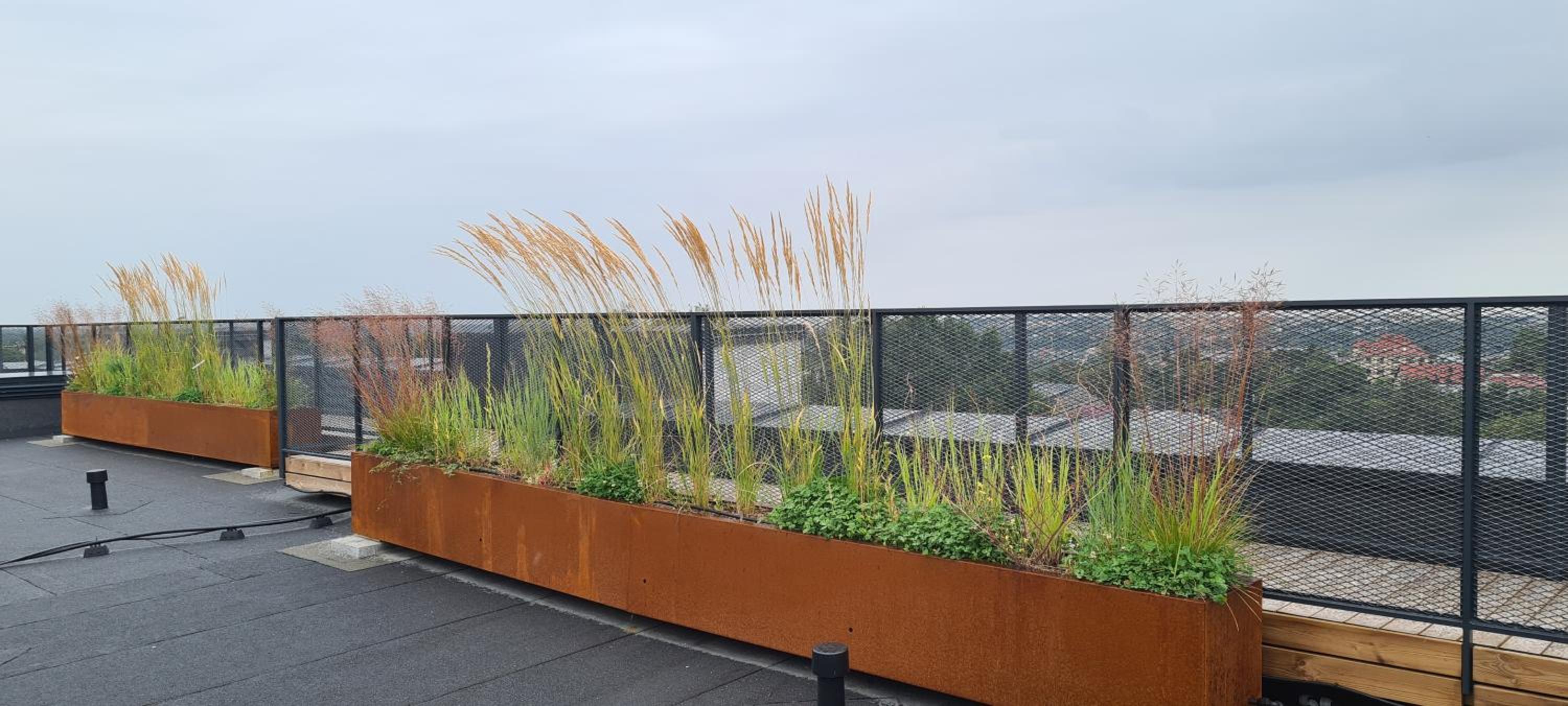 roof