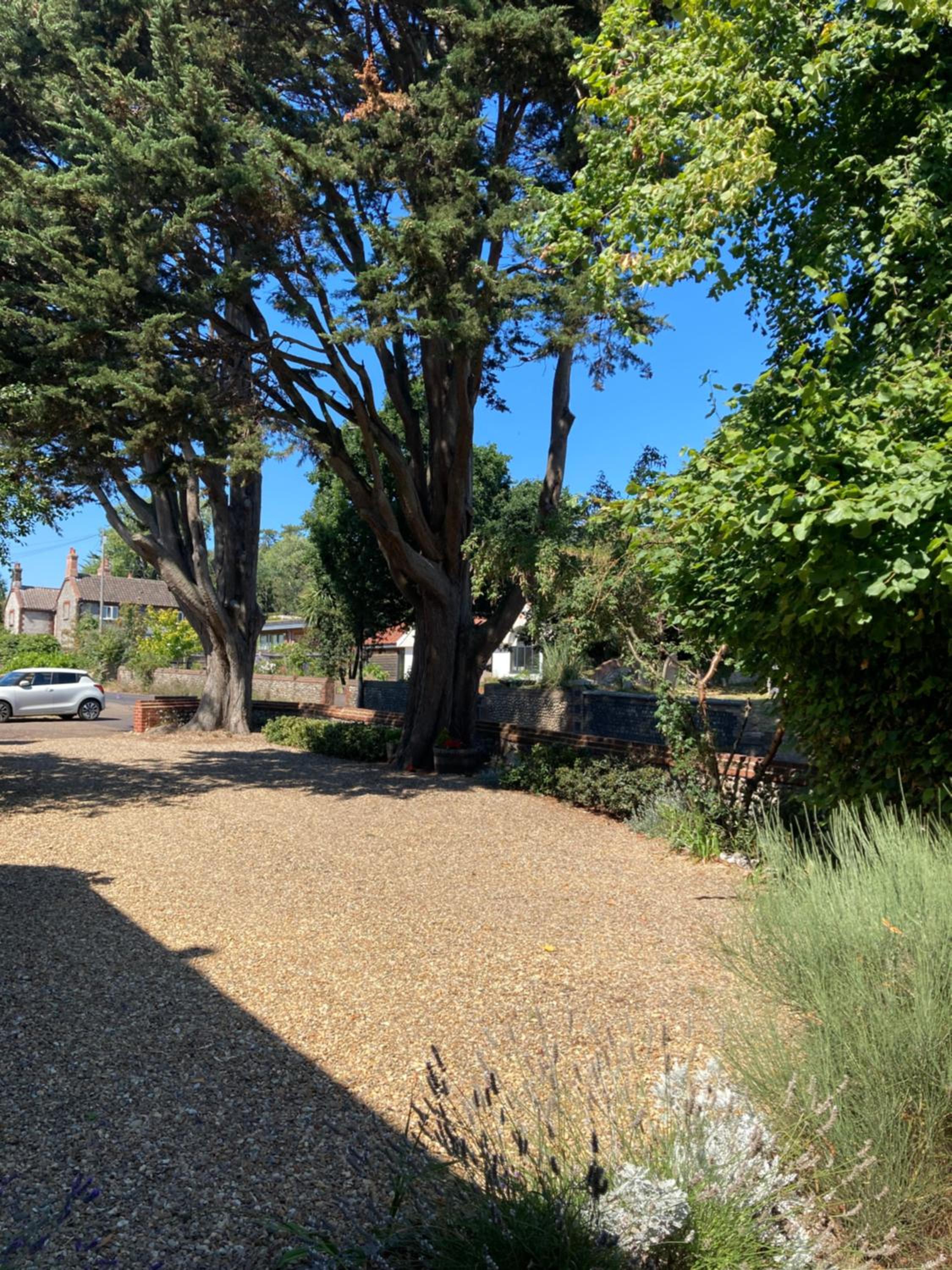 The Old Barn Annexe view 5