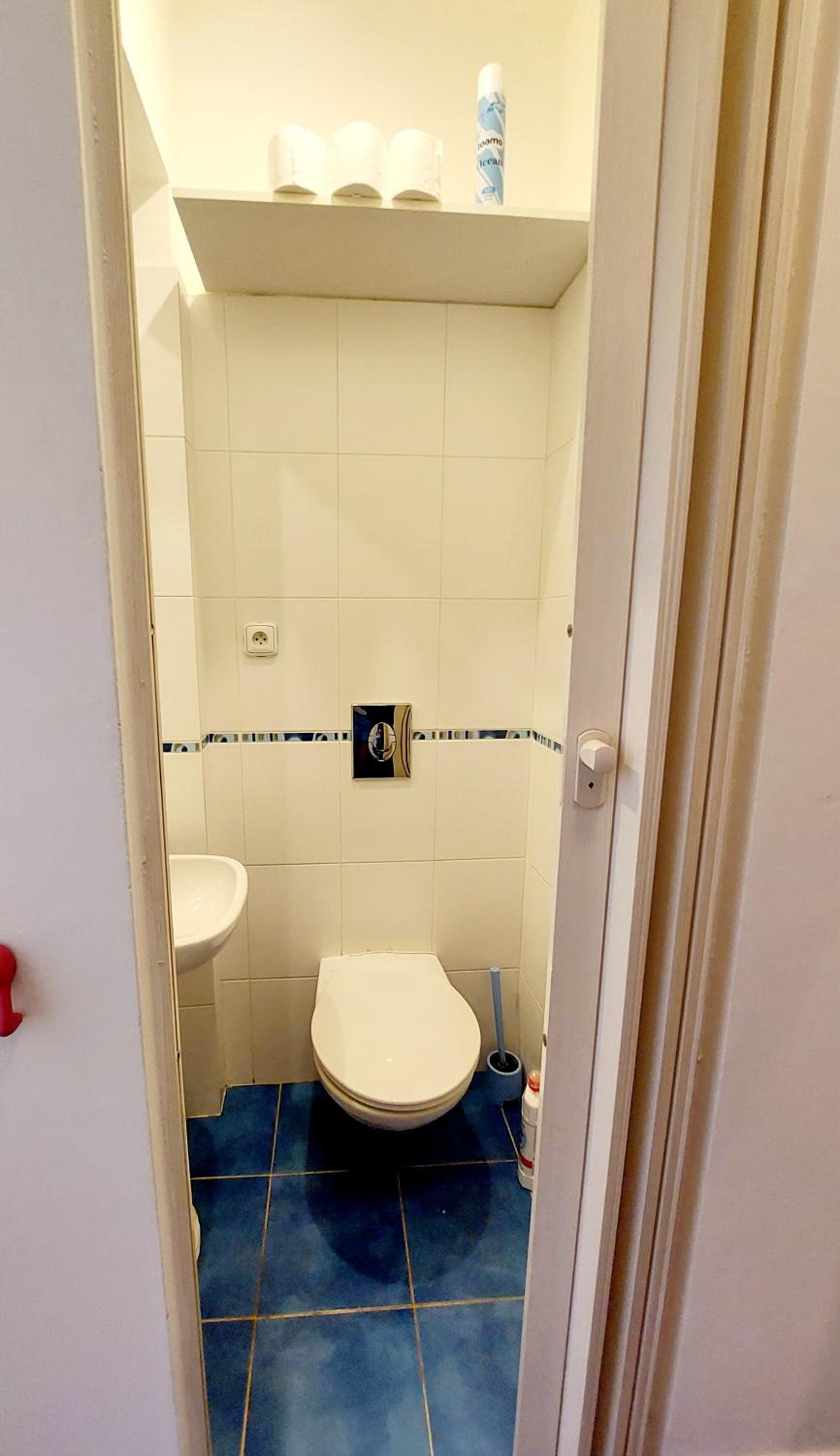 Cozy studio in Vinohrady