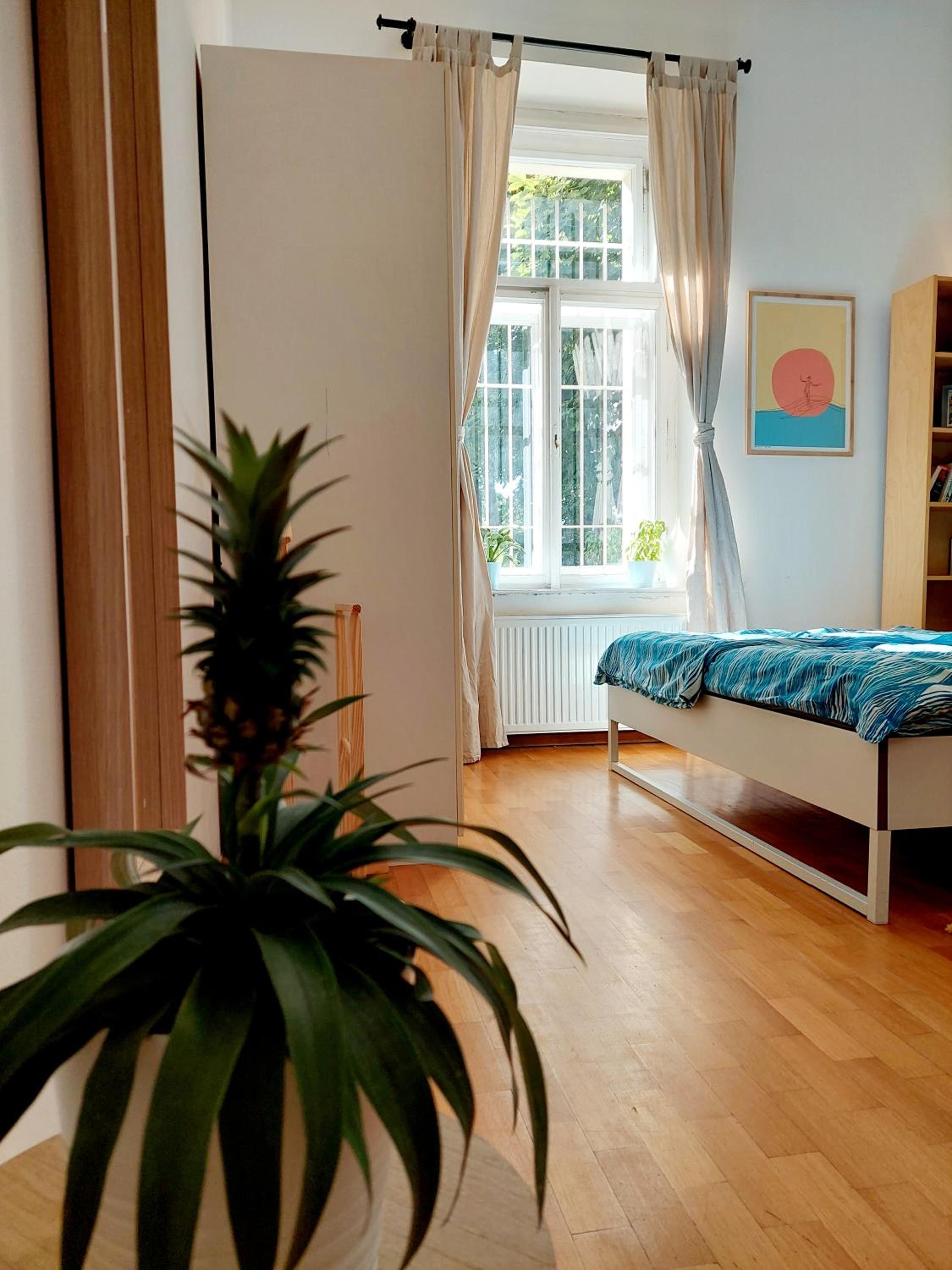 Cozy studio in Vinohrady