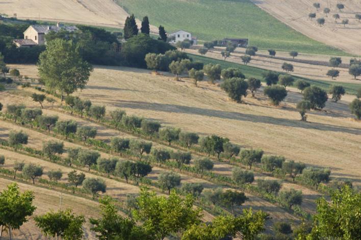 Agriturismo Il Gelso Antico