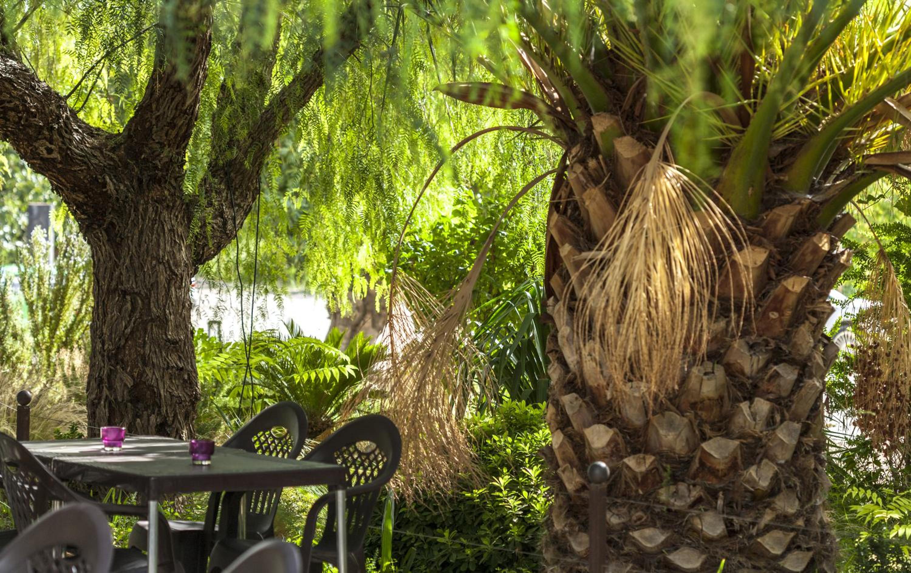 Jardines de Casablanca