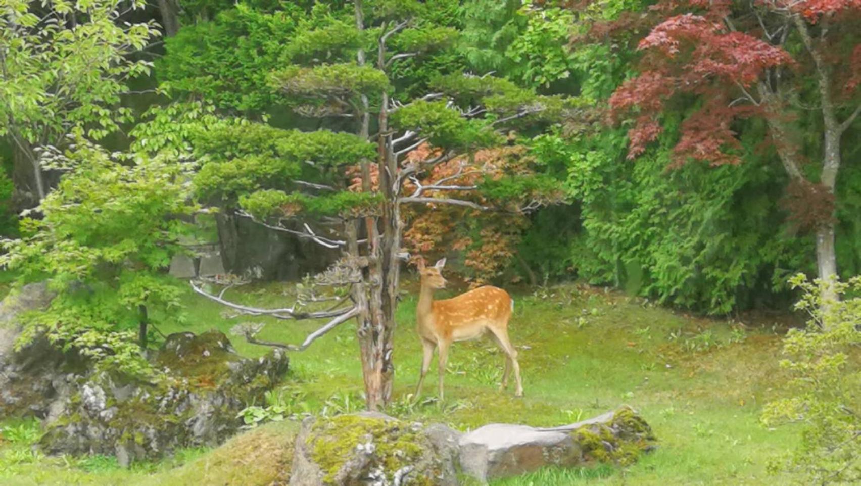 Photo 26