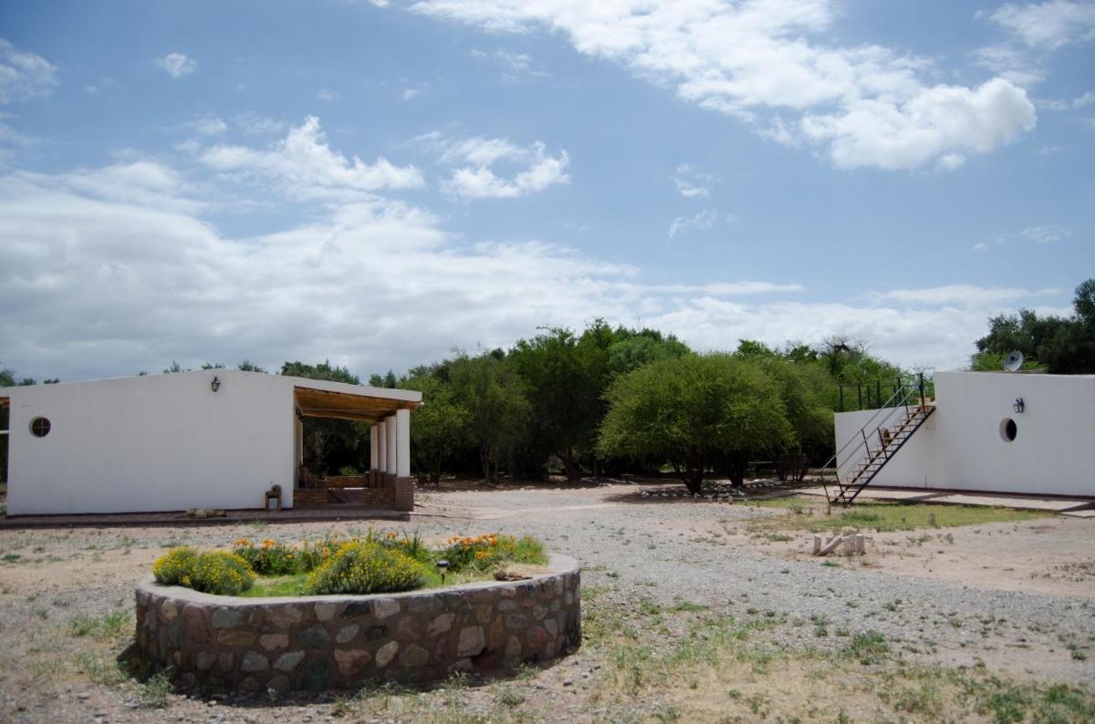El Zorro Gris