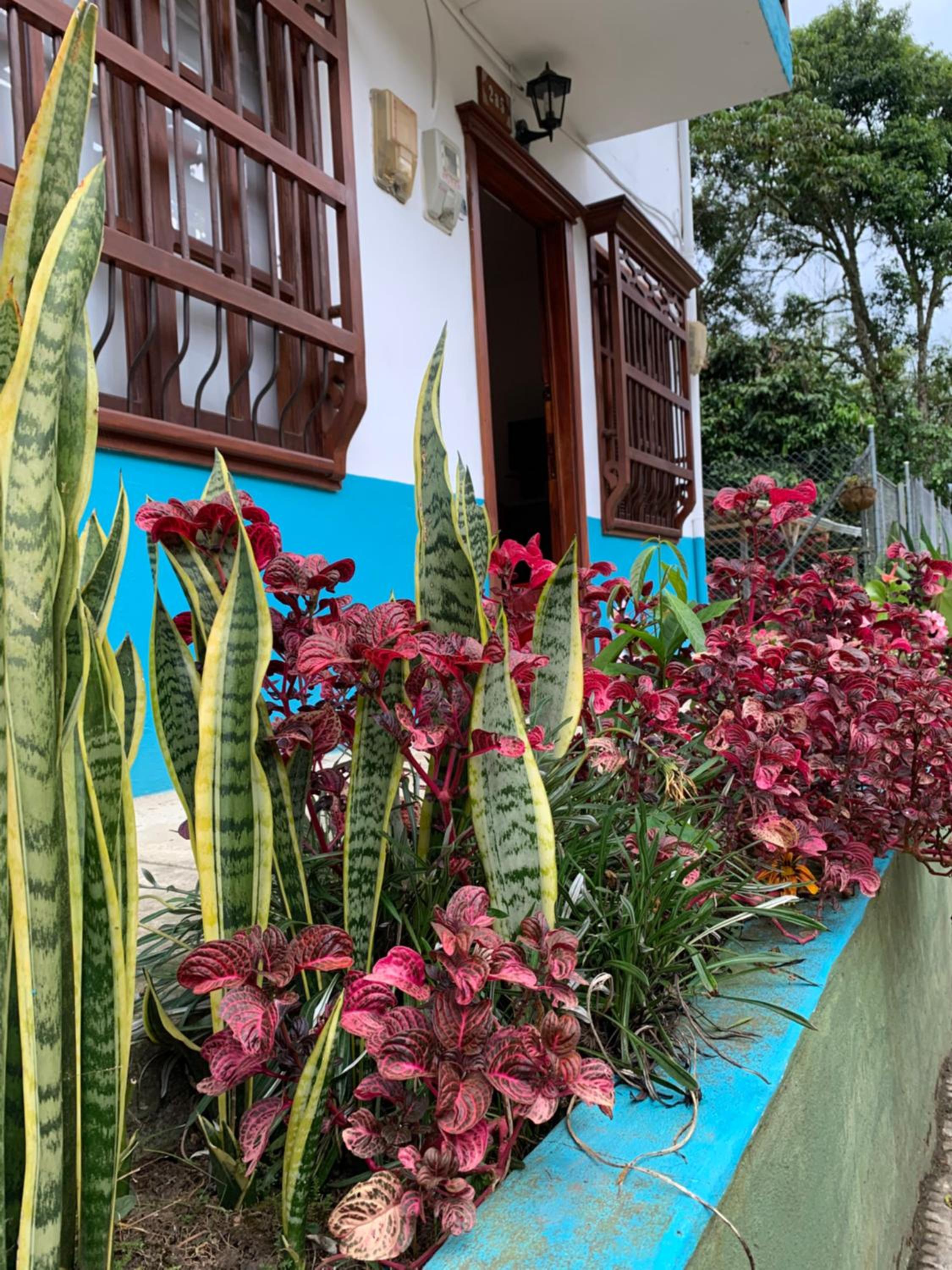 Casa Huespedes EL ENSUEÑO
