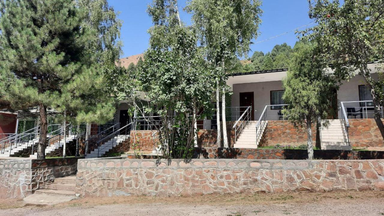 Photo 19