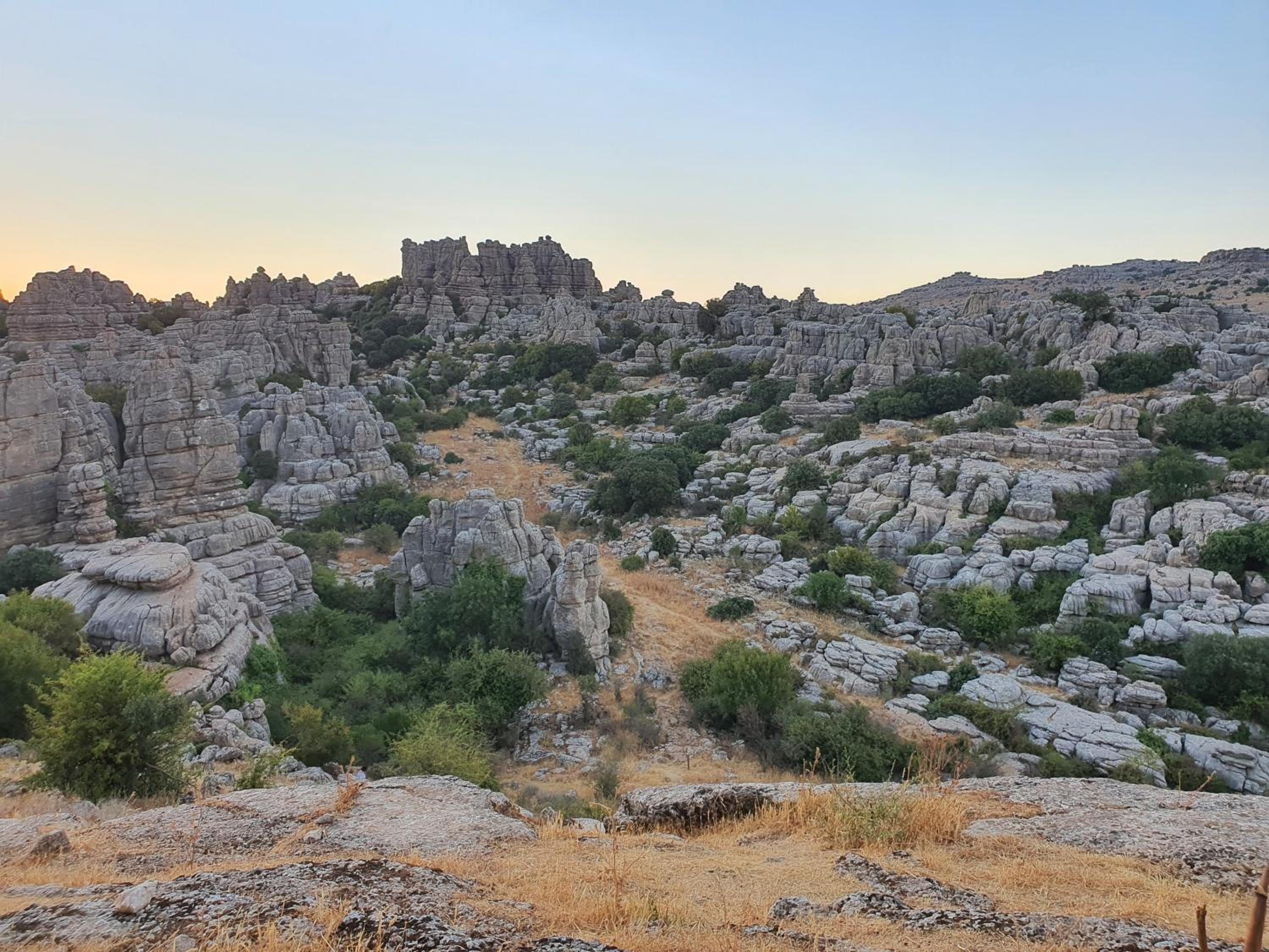 Nalkia