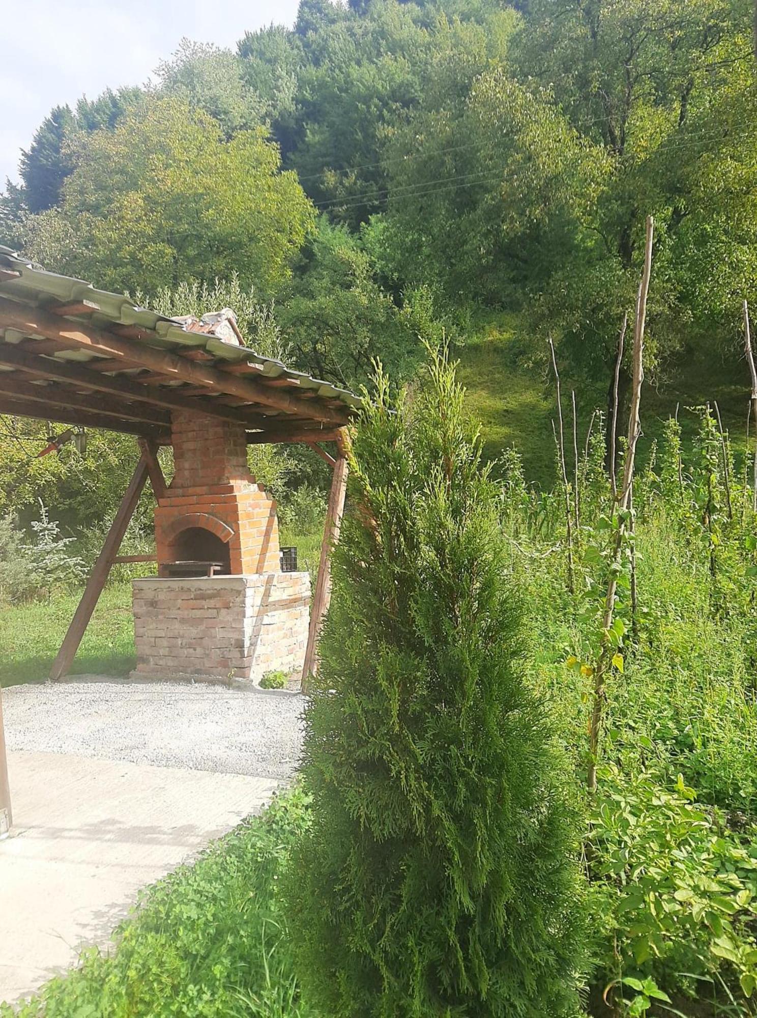 Cabana plaiului