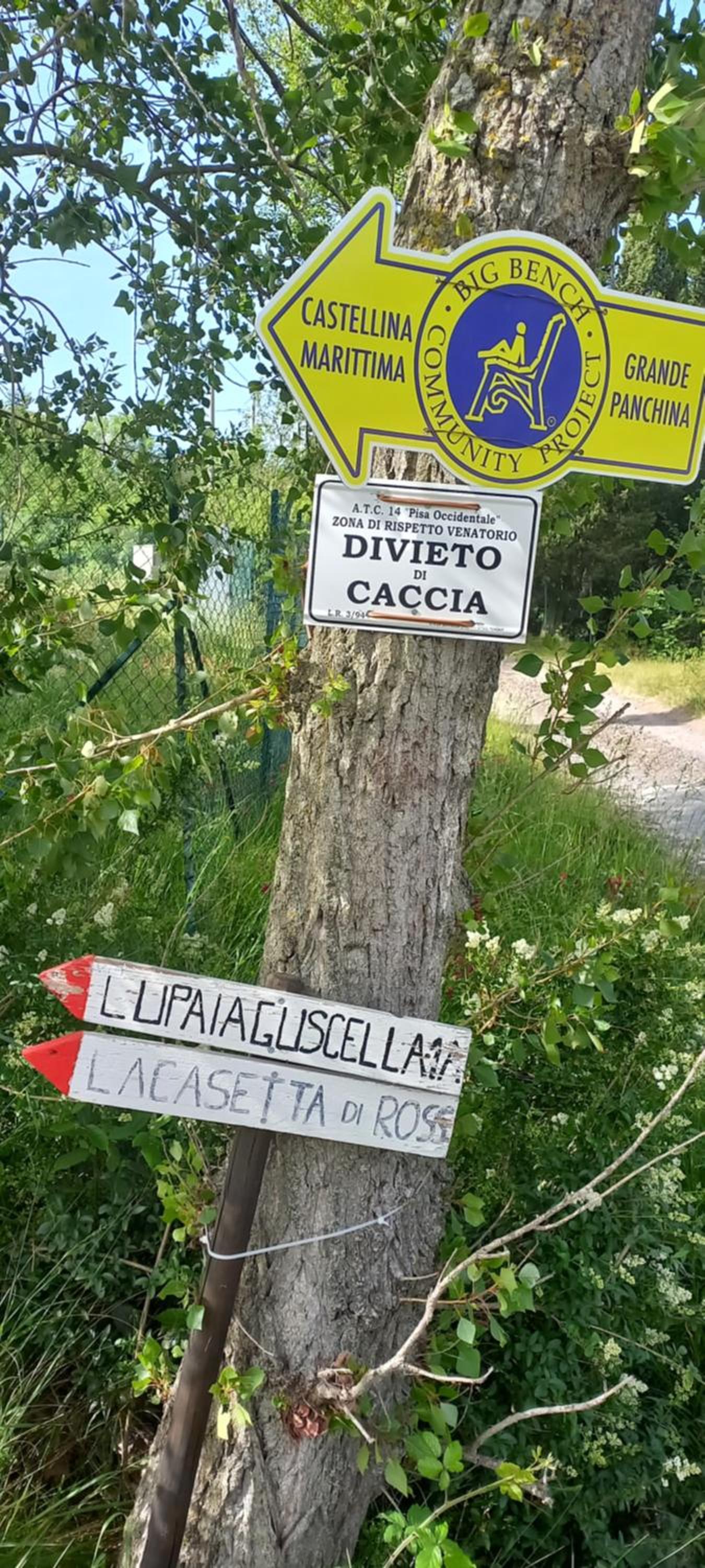 Photo 48