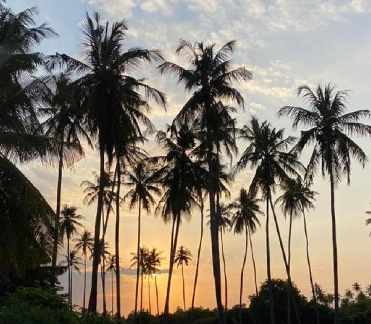 Barry's Beach Resort Pangani