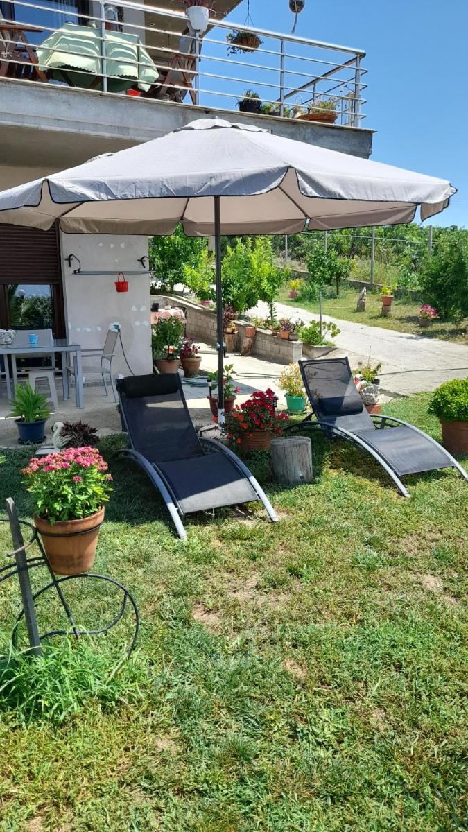 Photo 21